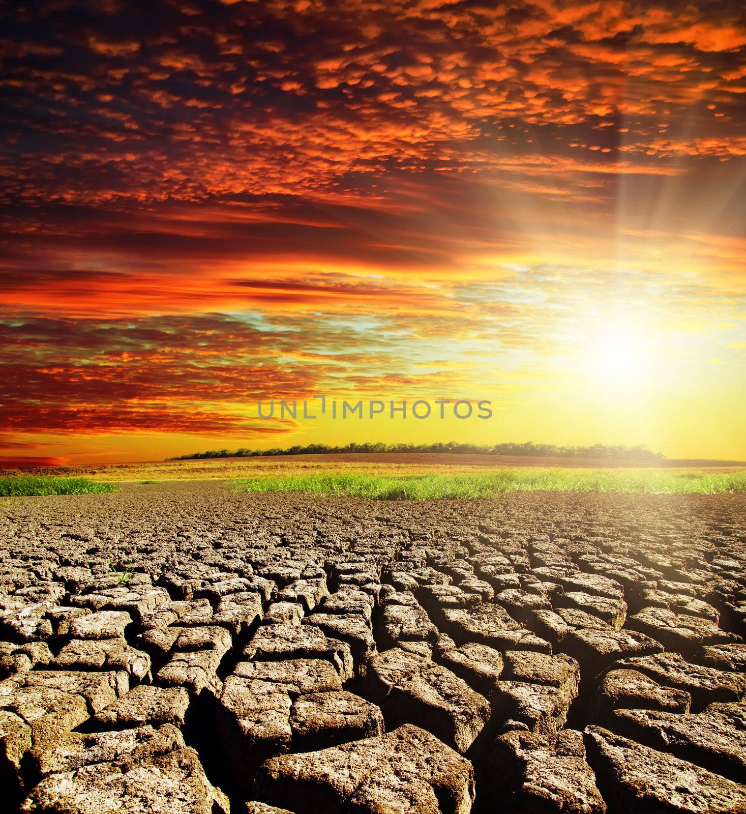 drought earth with red clouds and sunset