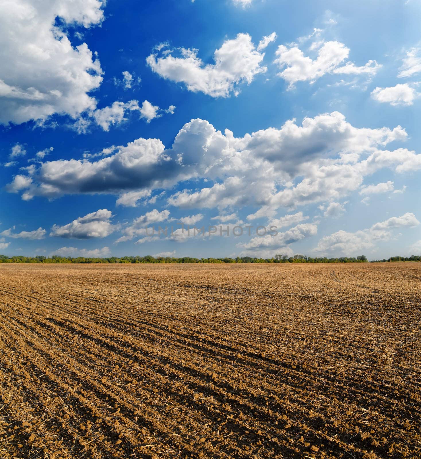 black ploughed field under deep blue sky with clouds by mycola