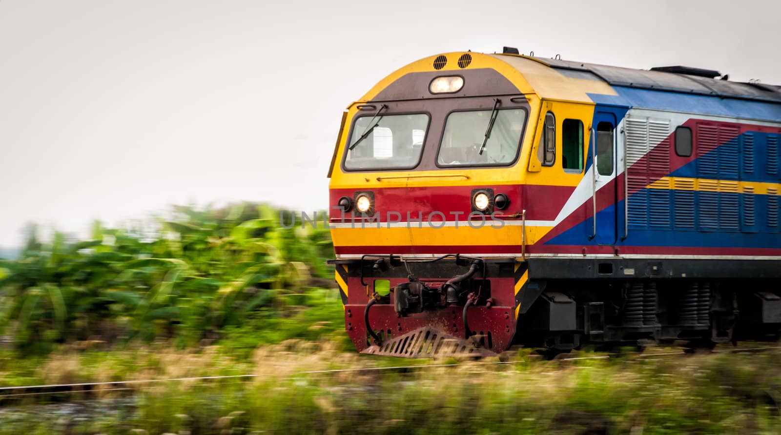 colorful thai train moving on track through forest