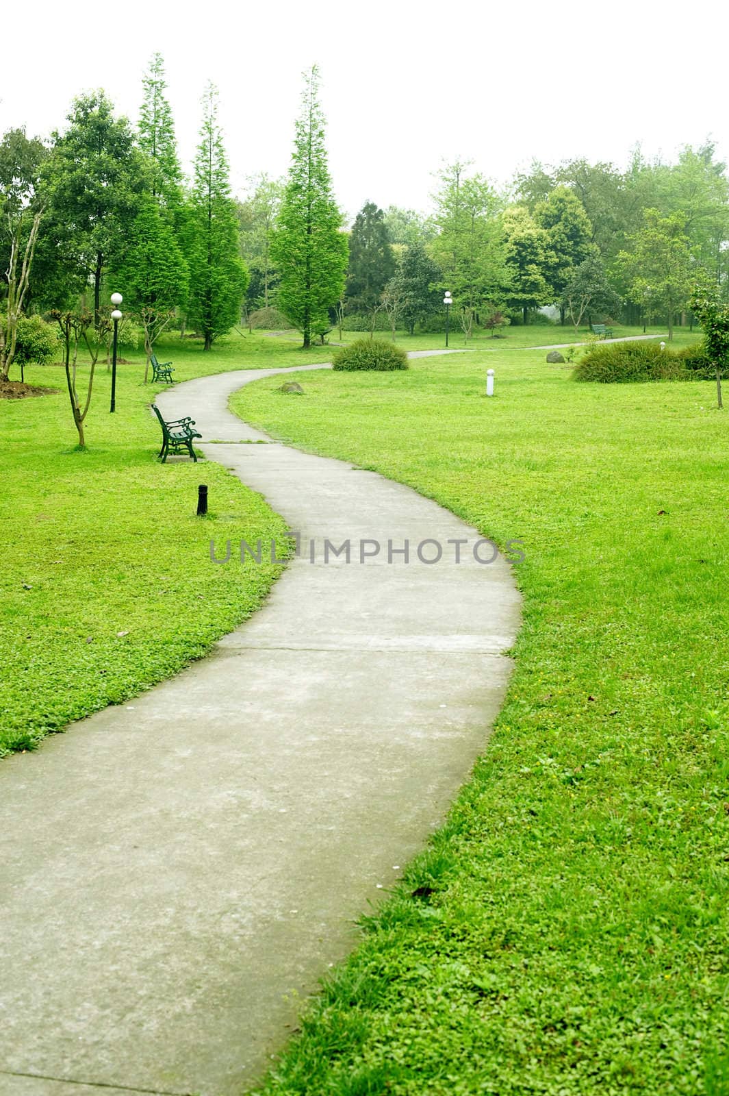 a extend lane on green lawn.