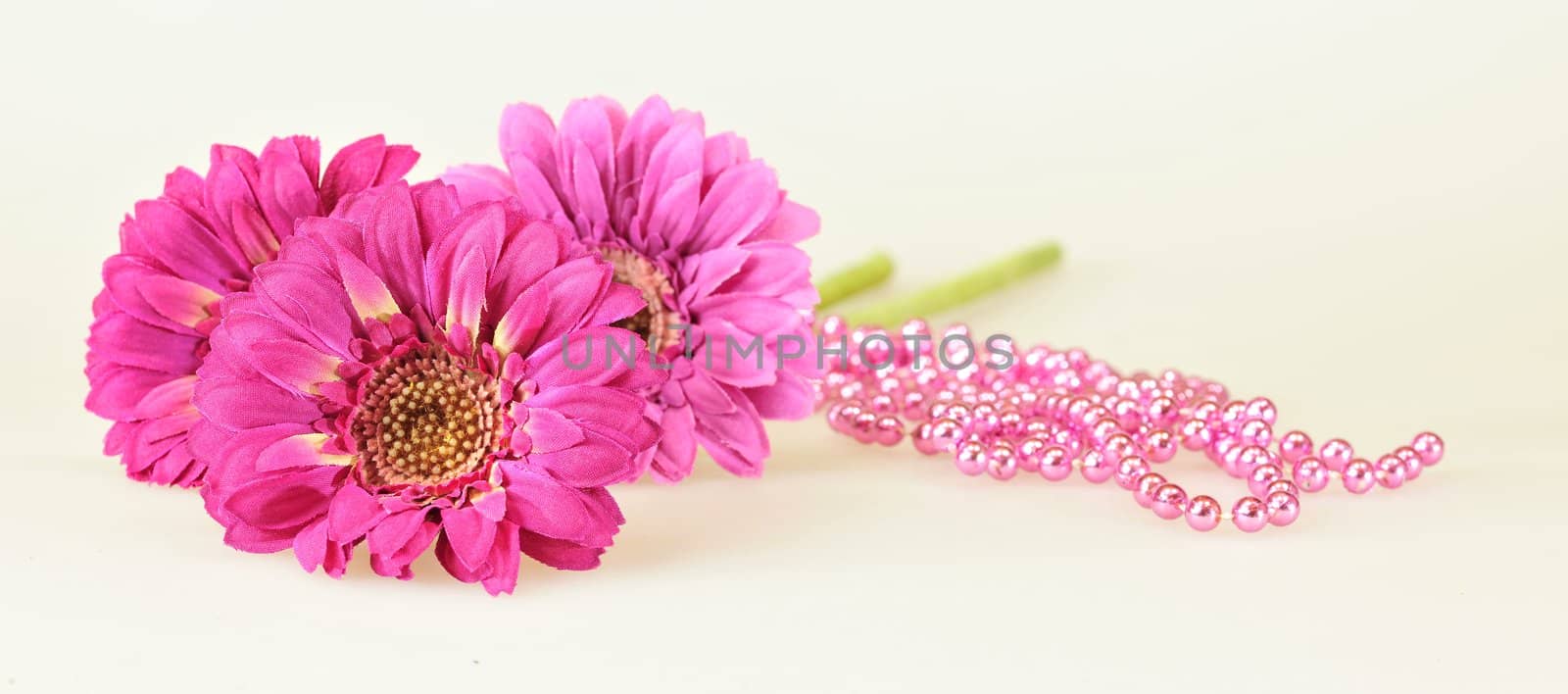 Three artificial Pink Gerbera isolated on the white background