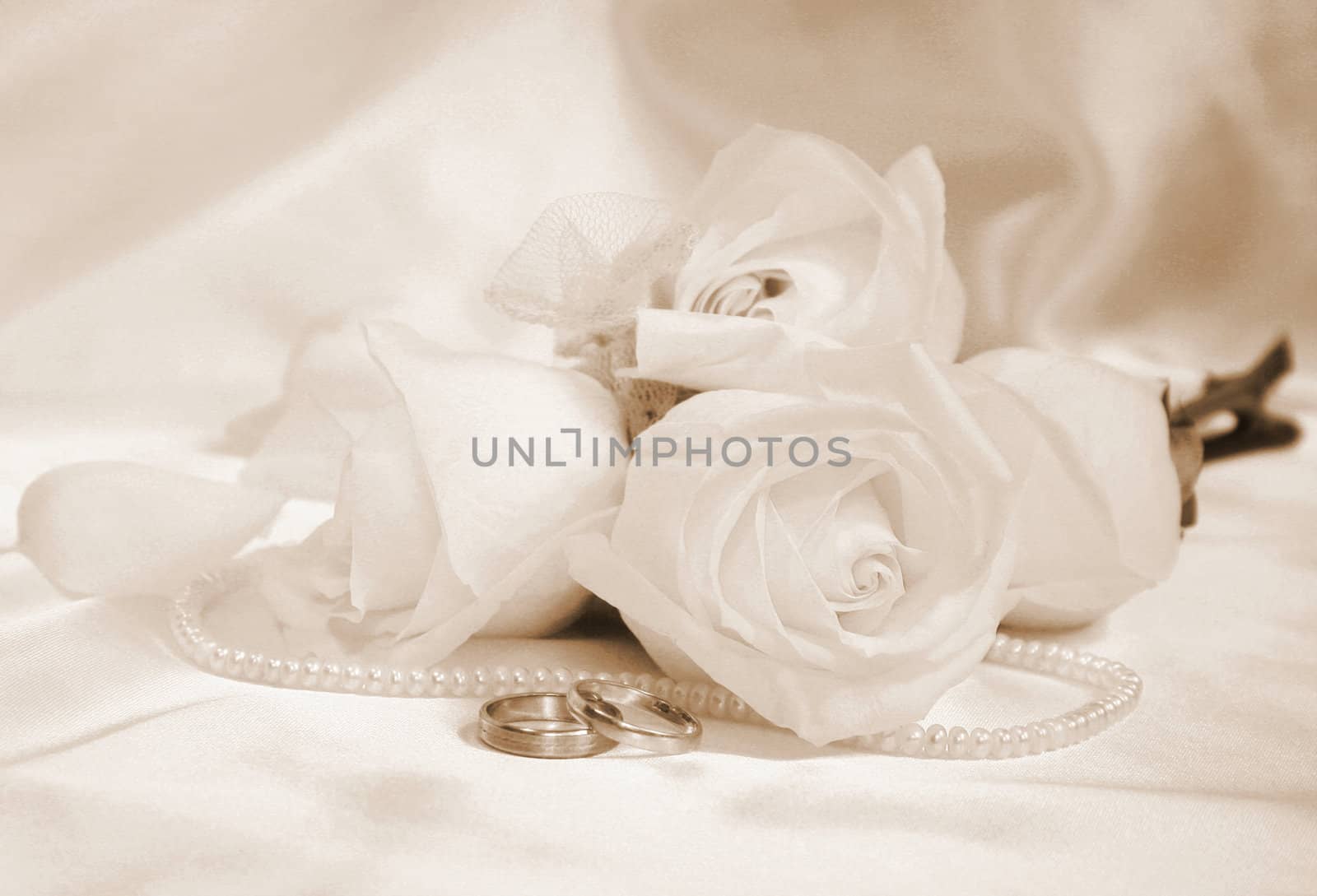 wedding rings and roses can use as background

