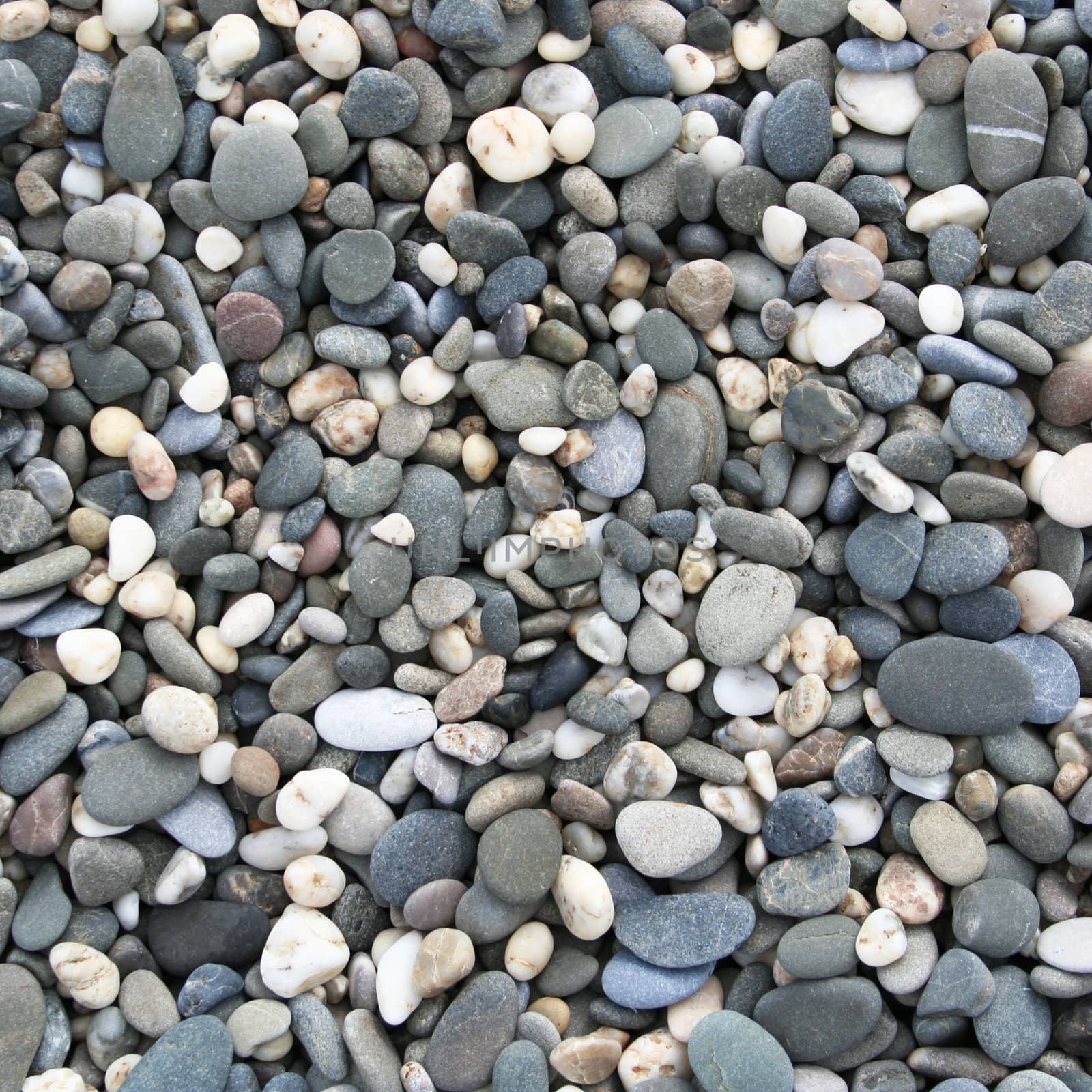 Grey pebbles on the beach can use as background 