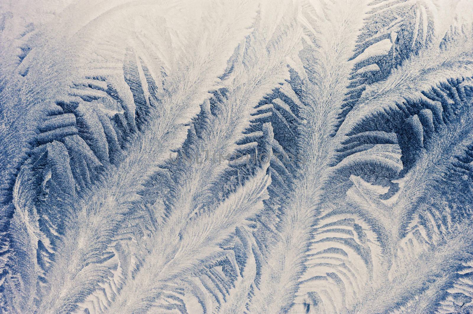 Frosty pattern on window in winter season