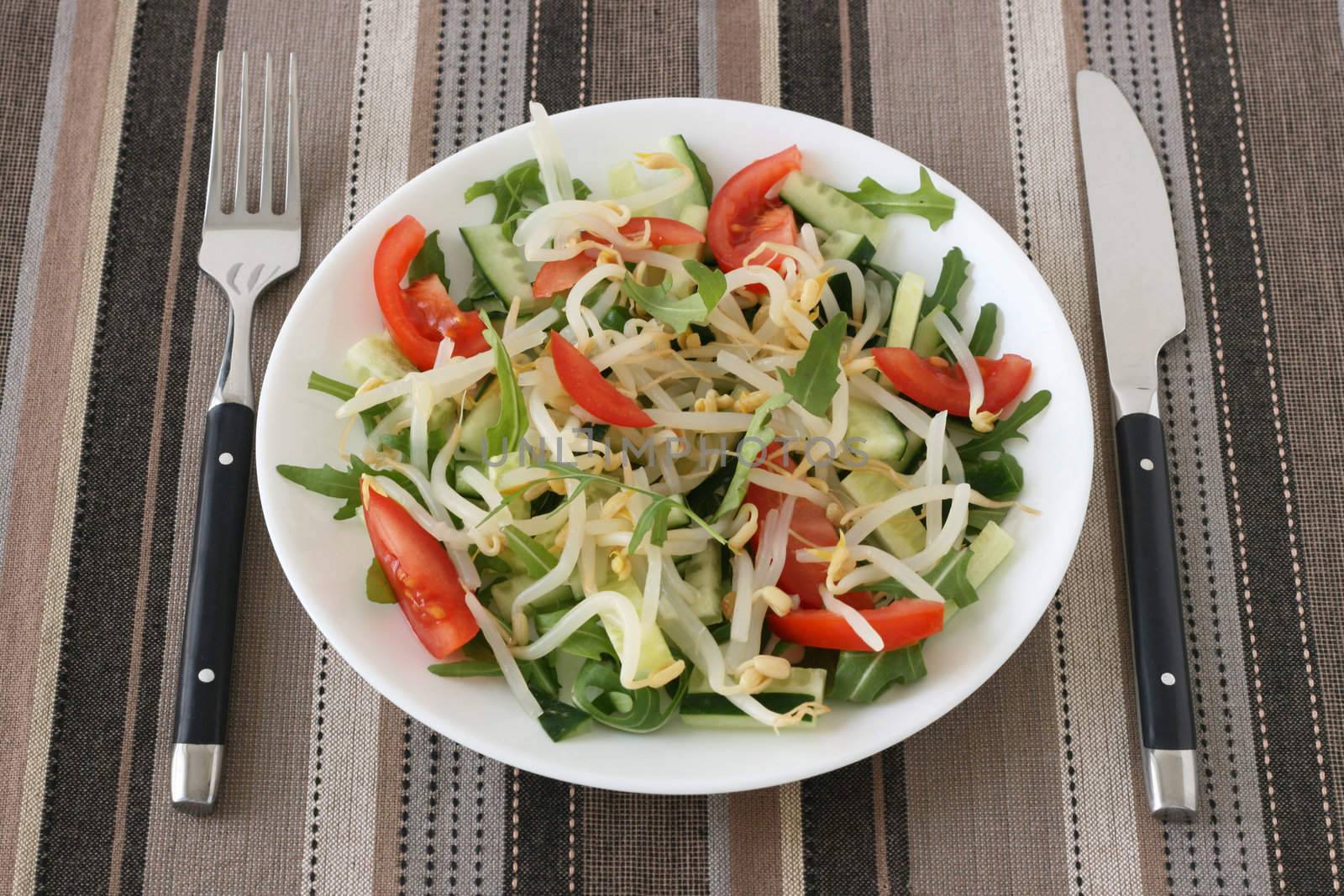 salad on the plate by nataliamylova