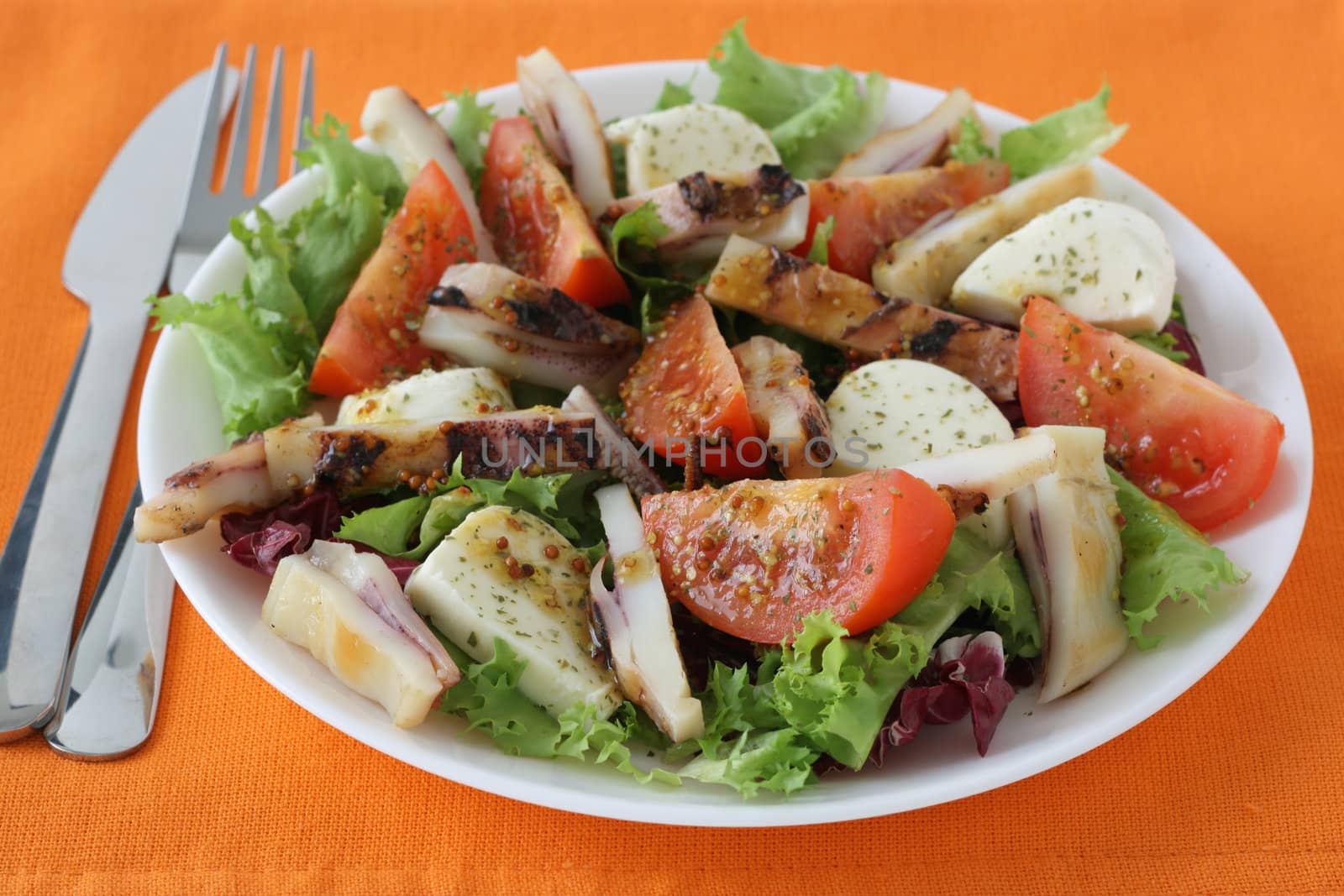 salad with cheese mozzarella and octopus by nataliamylova