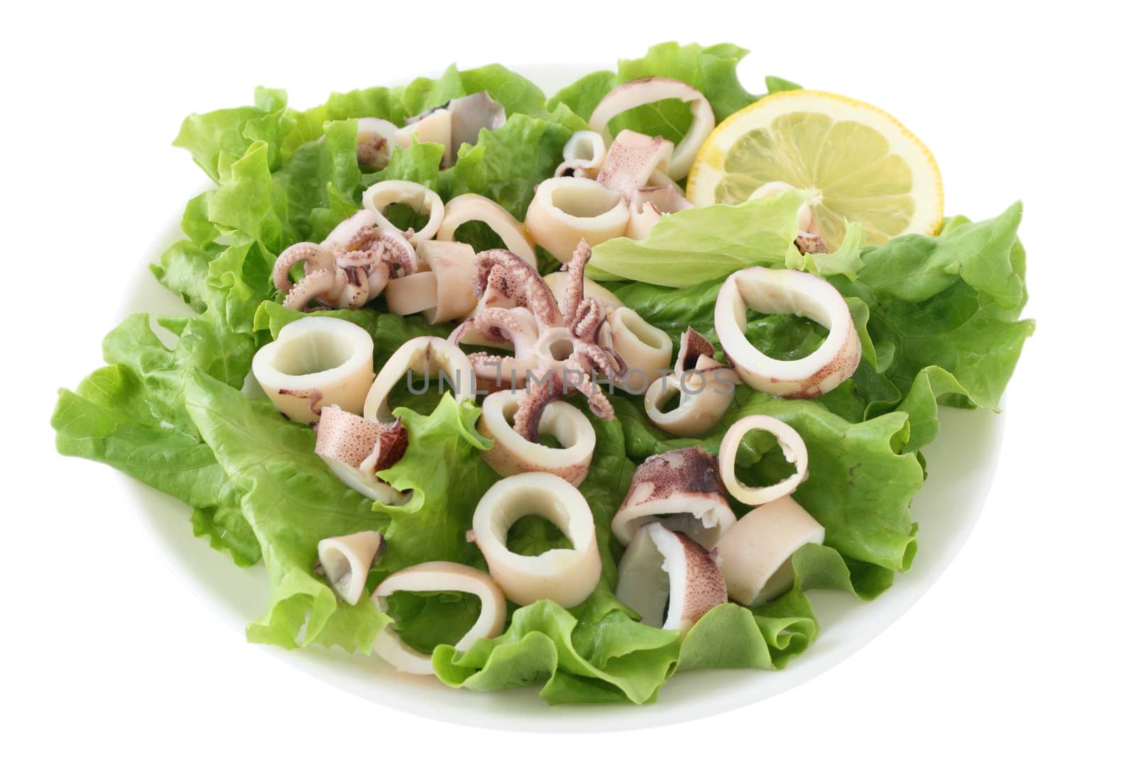 salad with octopus by nataliamylova