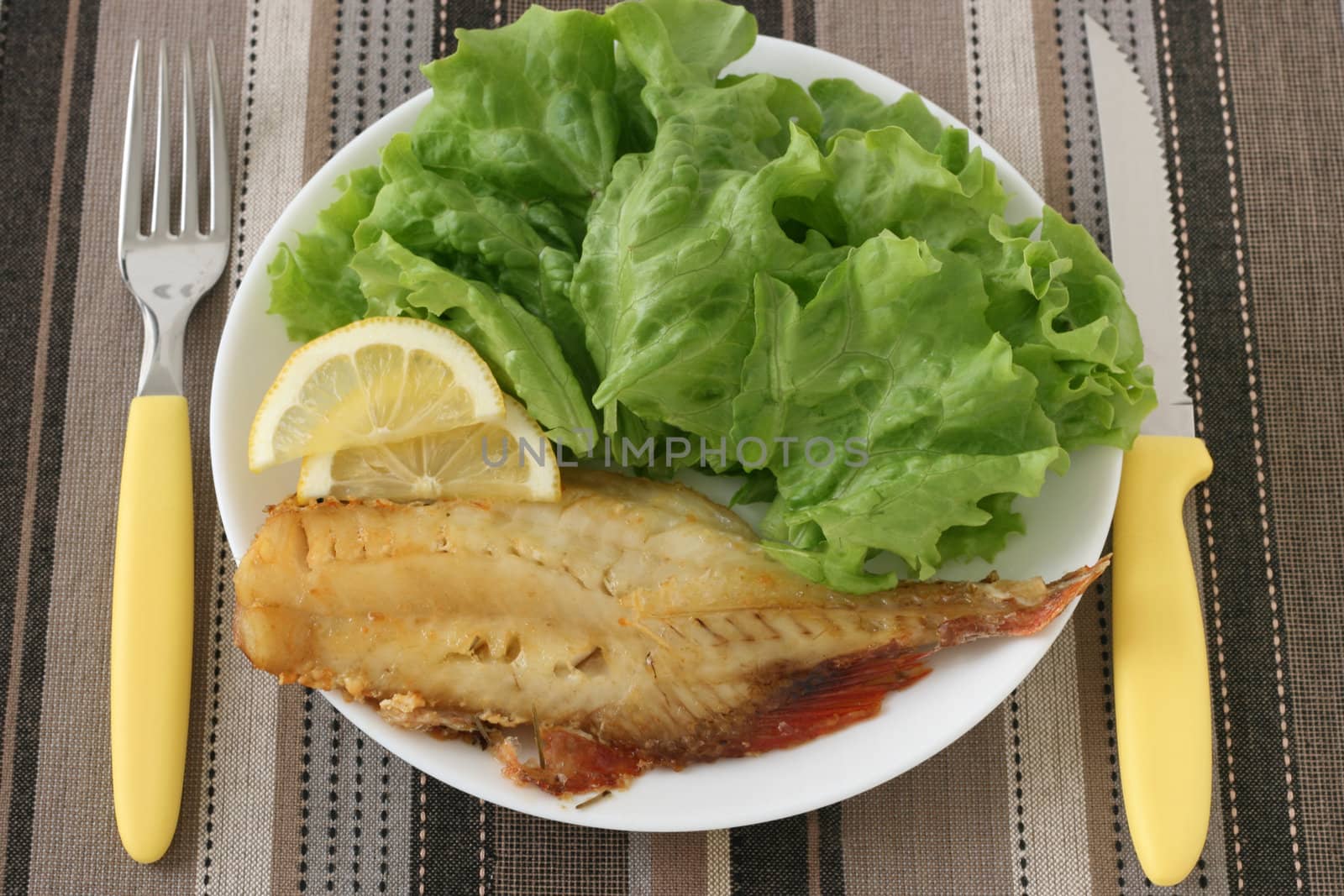 fried fish with salad by nataliamylova