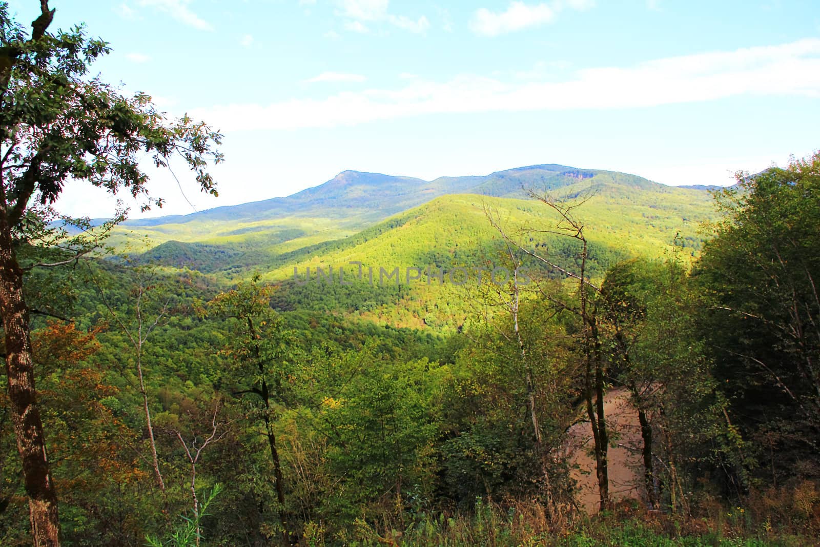 Summer beautiful landscape with Caucasus green mountains