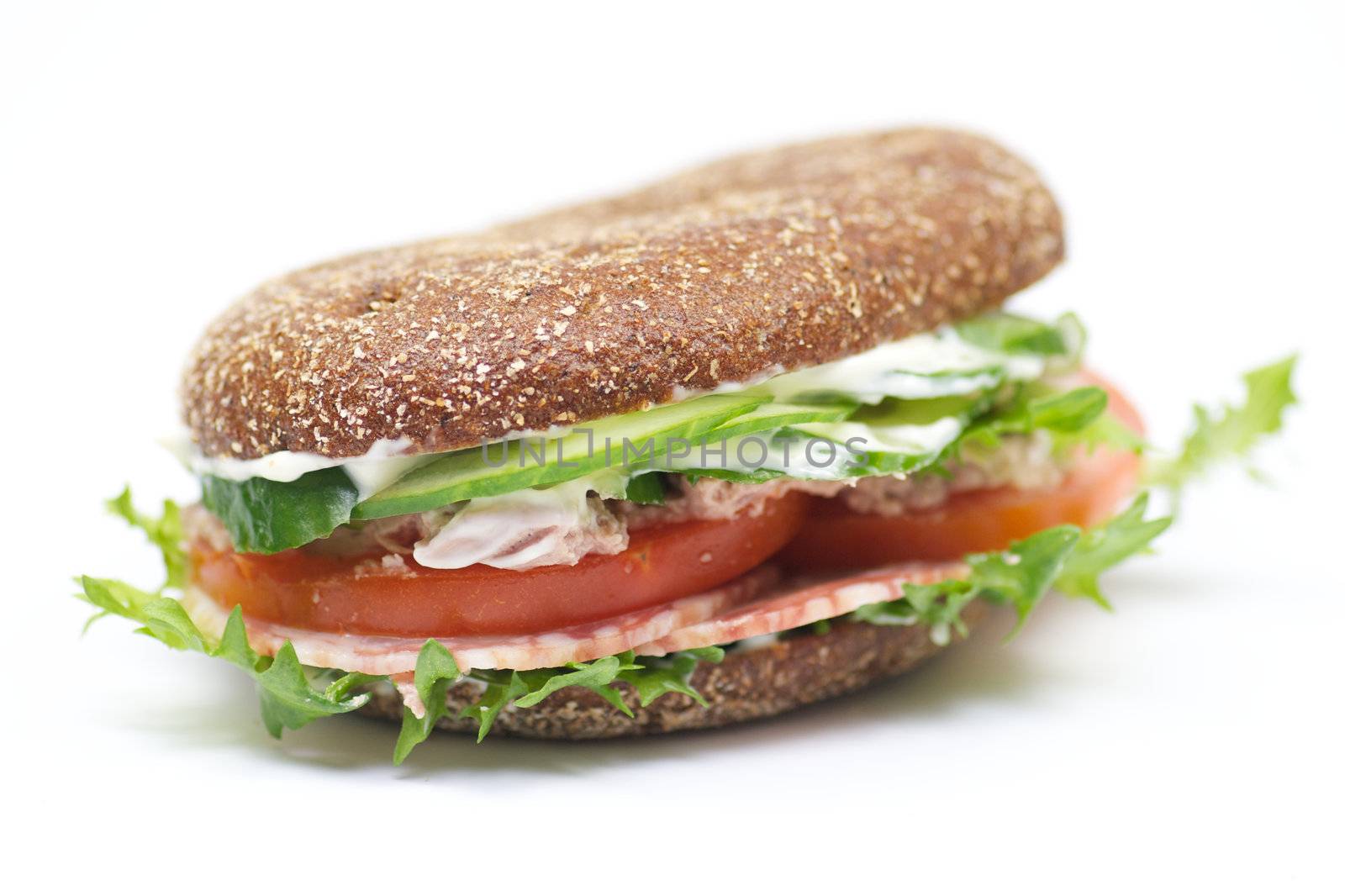 Whole wheat bread sandwich by zhekos