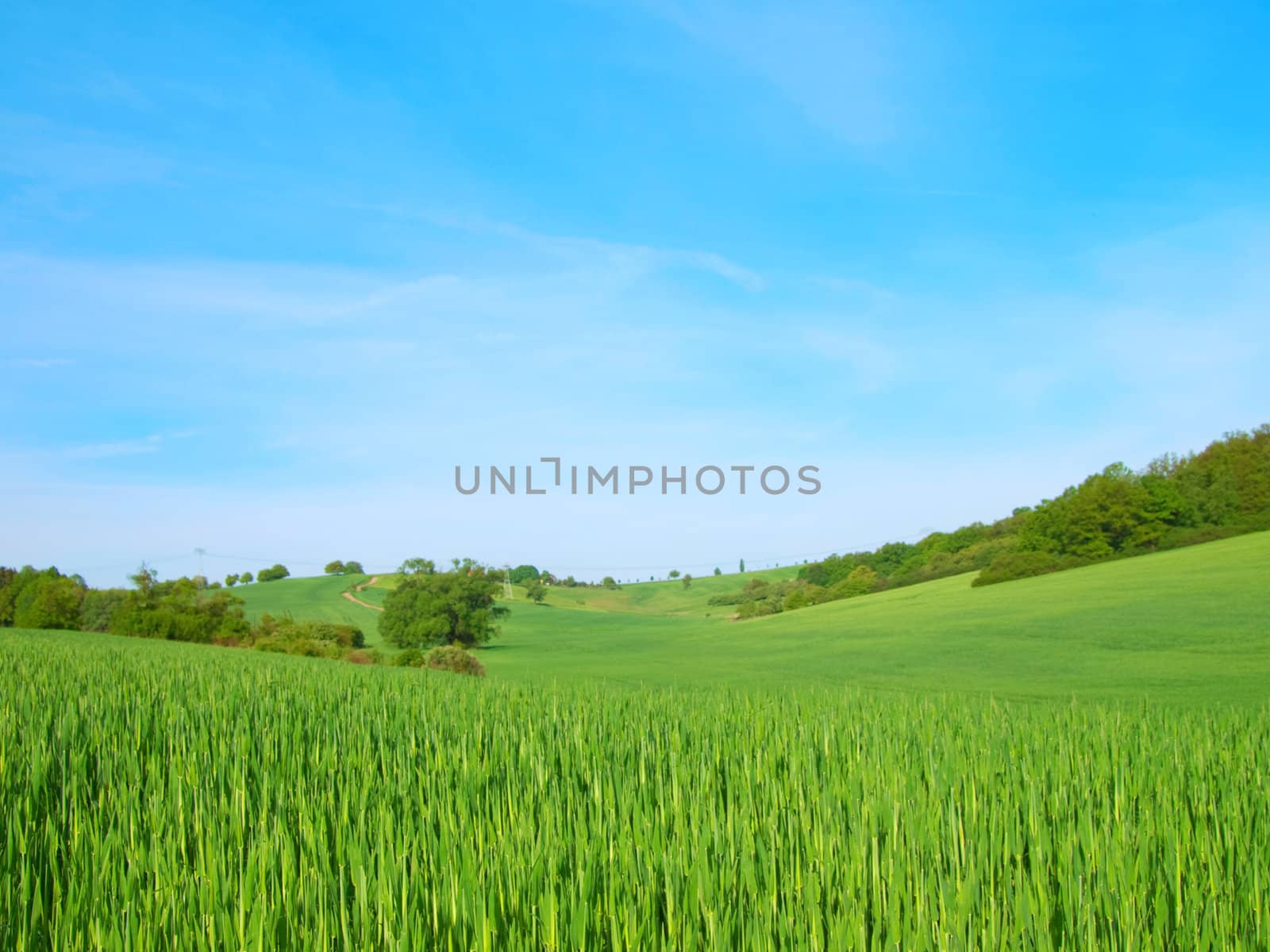 green field on blue sky  by motorolka