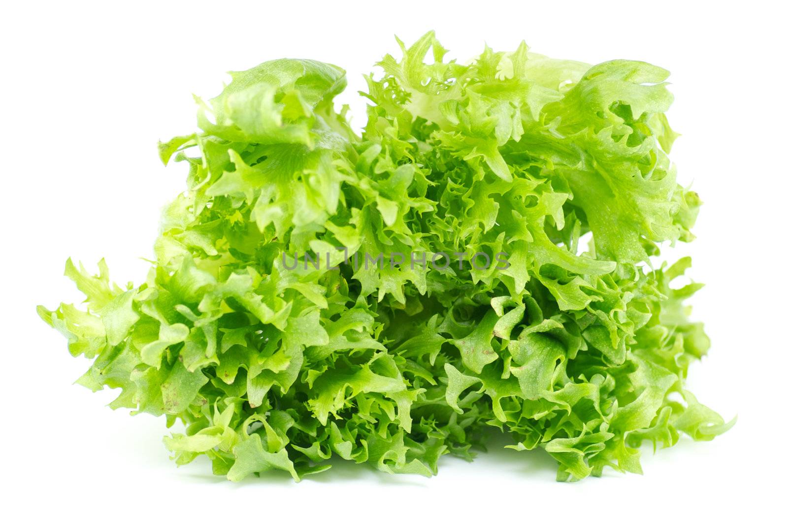Fresh green salad leaves on white background