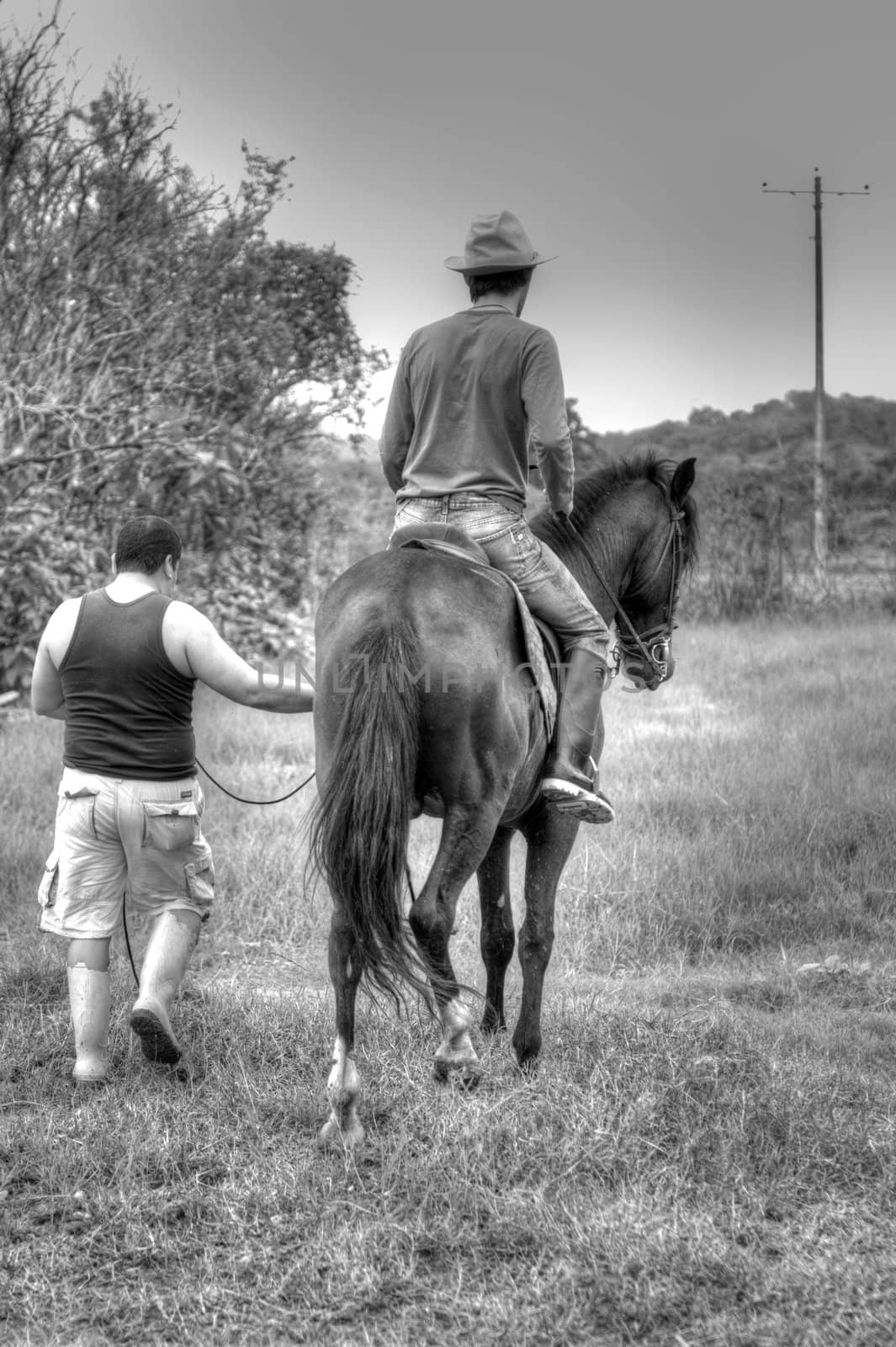 Horses and riders on a farm in Ecuador