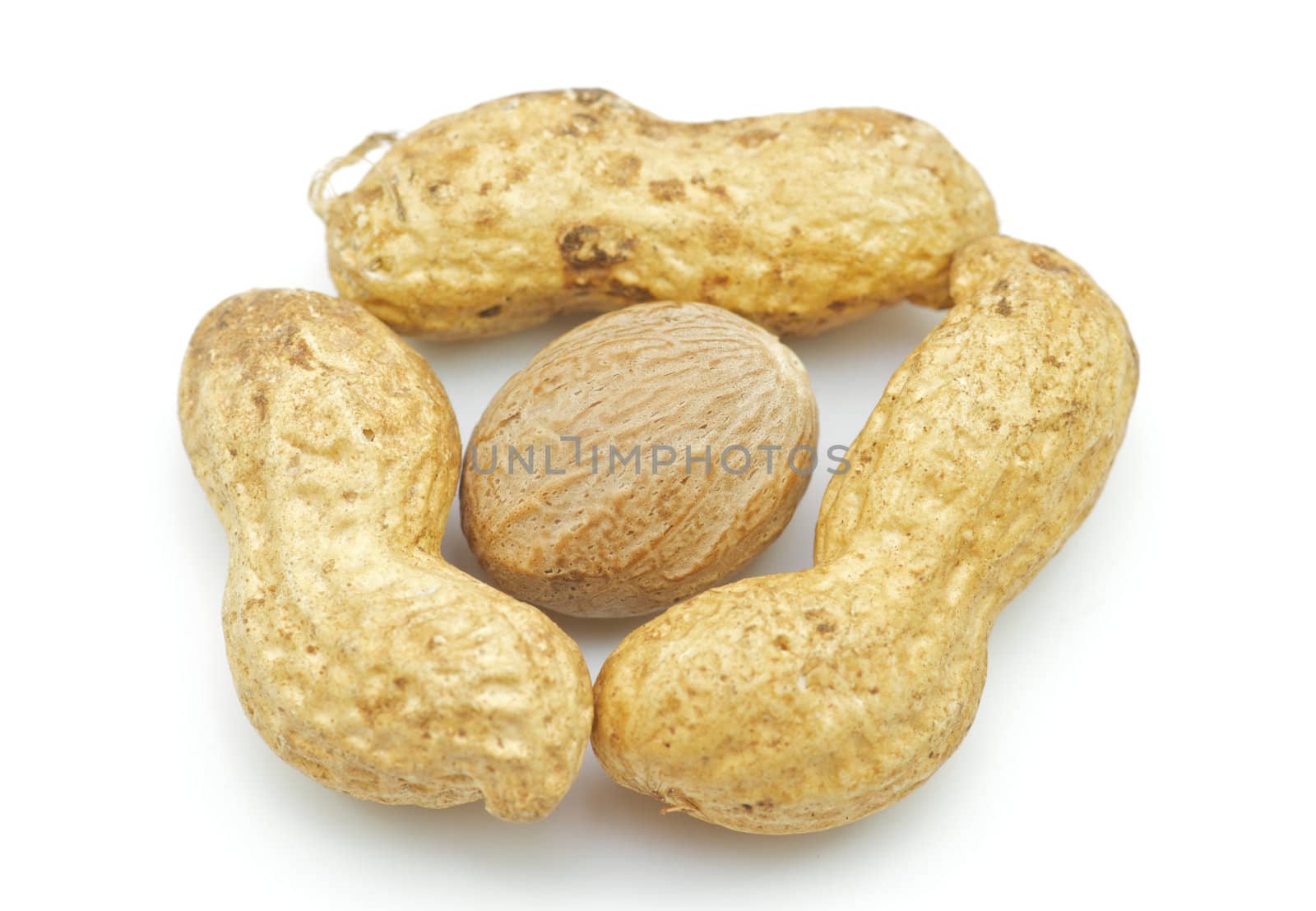 Peanut nuts in a shell isolated on white background