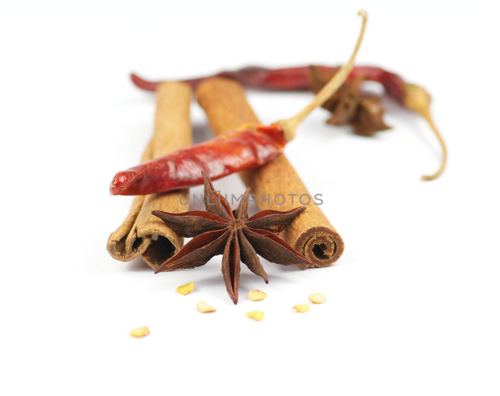Cinnamon, chili pepper and anise by zhekos