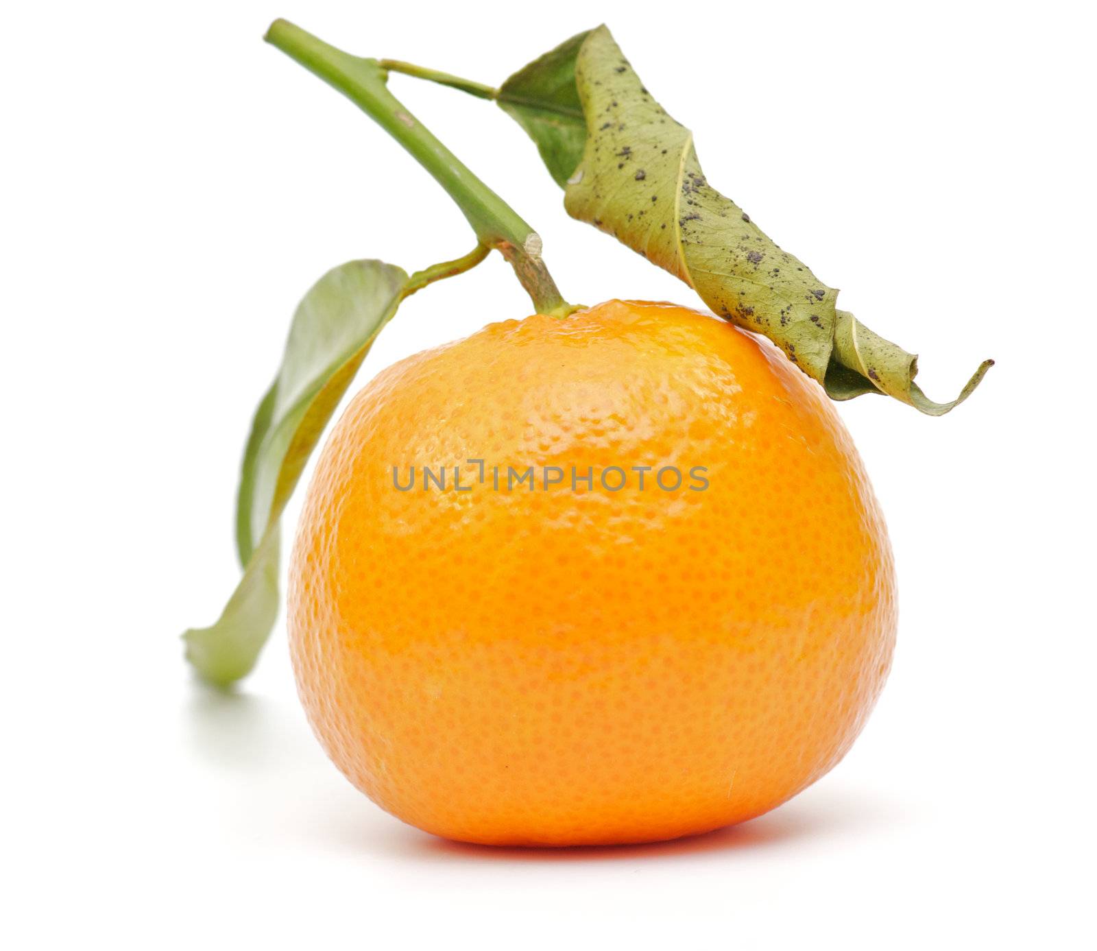 Tangerine with green leaves on white background