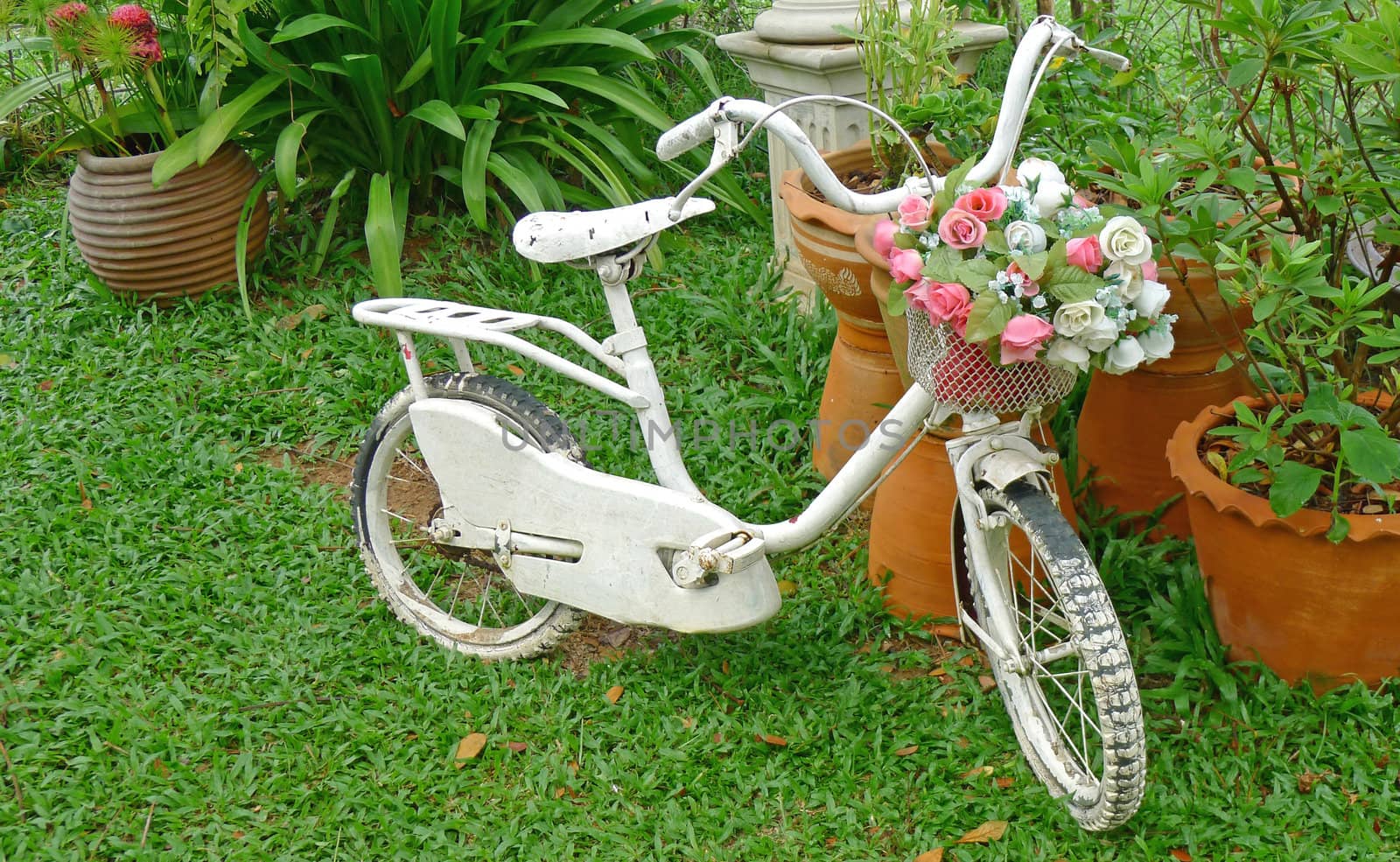 White bicycle with bouquet of flower, decorate in a garden