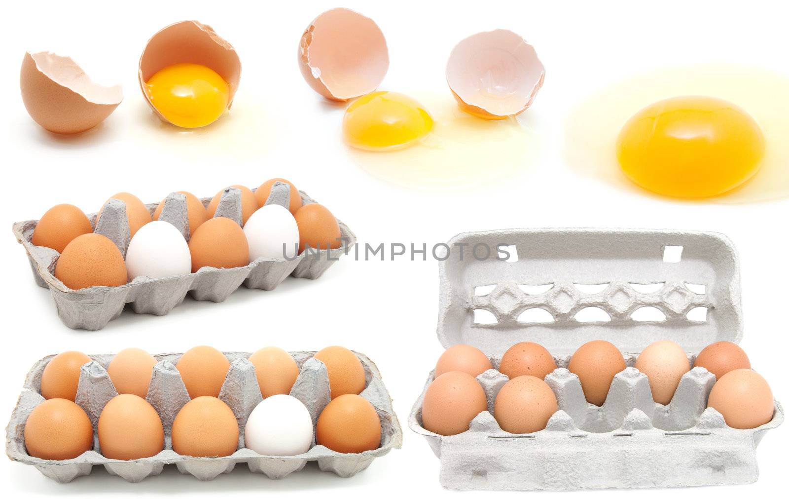 set of eggs on a white background. egg is broken.  by motorolka