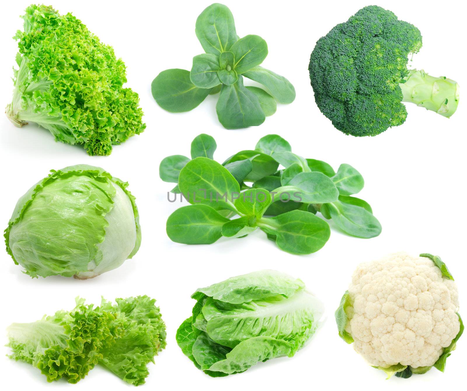 cabbage and green vegetable collection isolated on white background 
