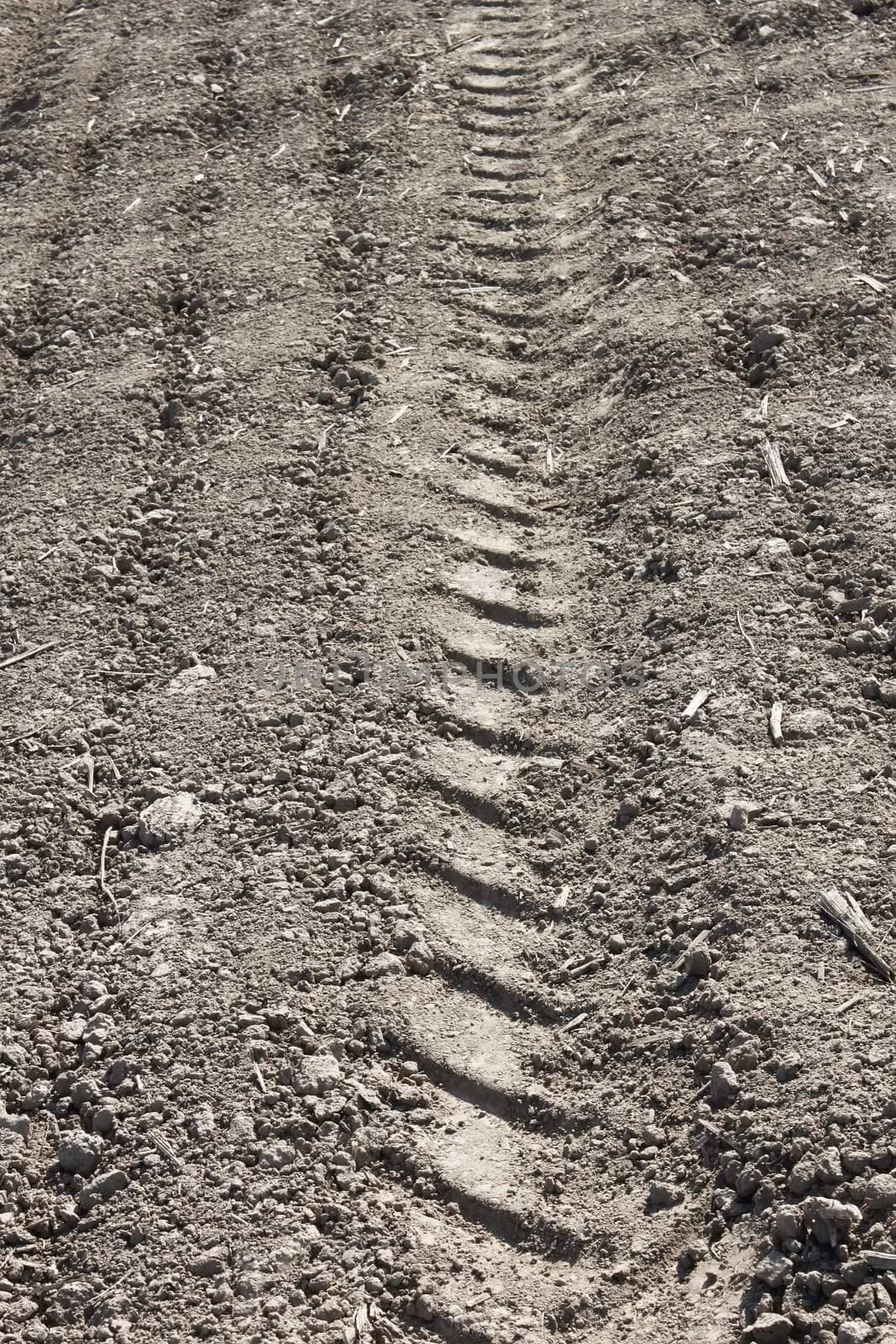 Tread pattern of a truck tire on the field soil