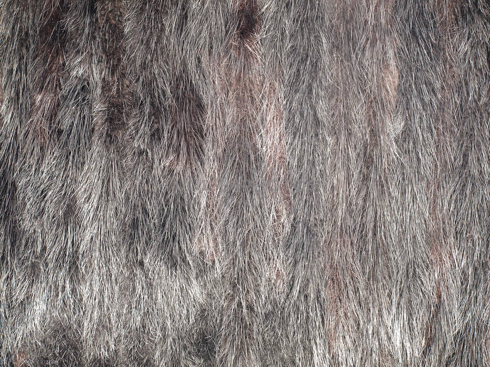 Mink fur texture closeup.