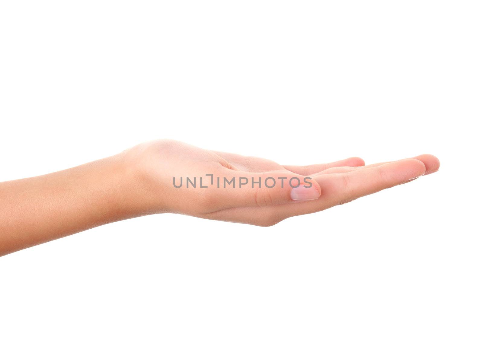 Empty open hand isolated on white background 