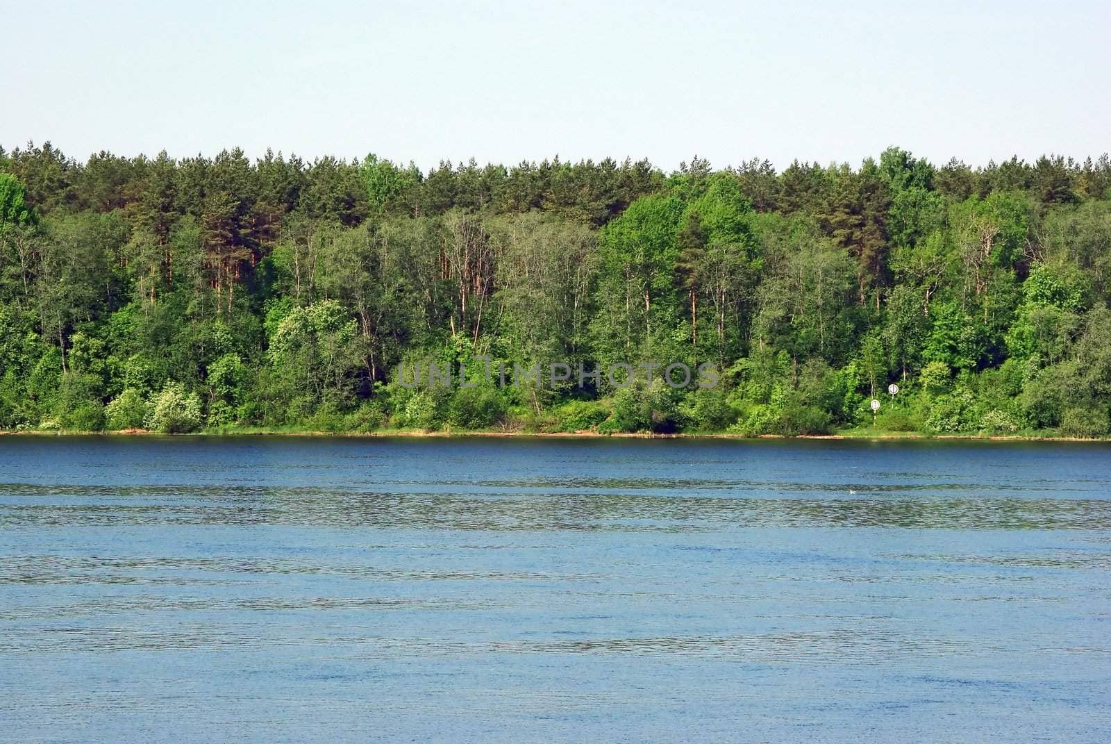 Summer landscape with river bank and forest