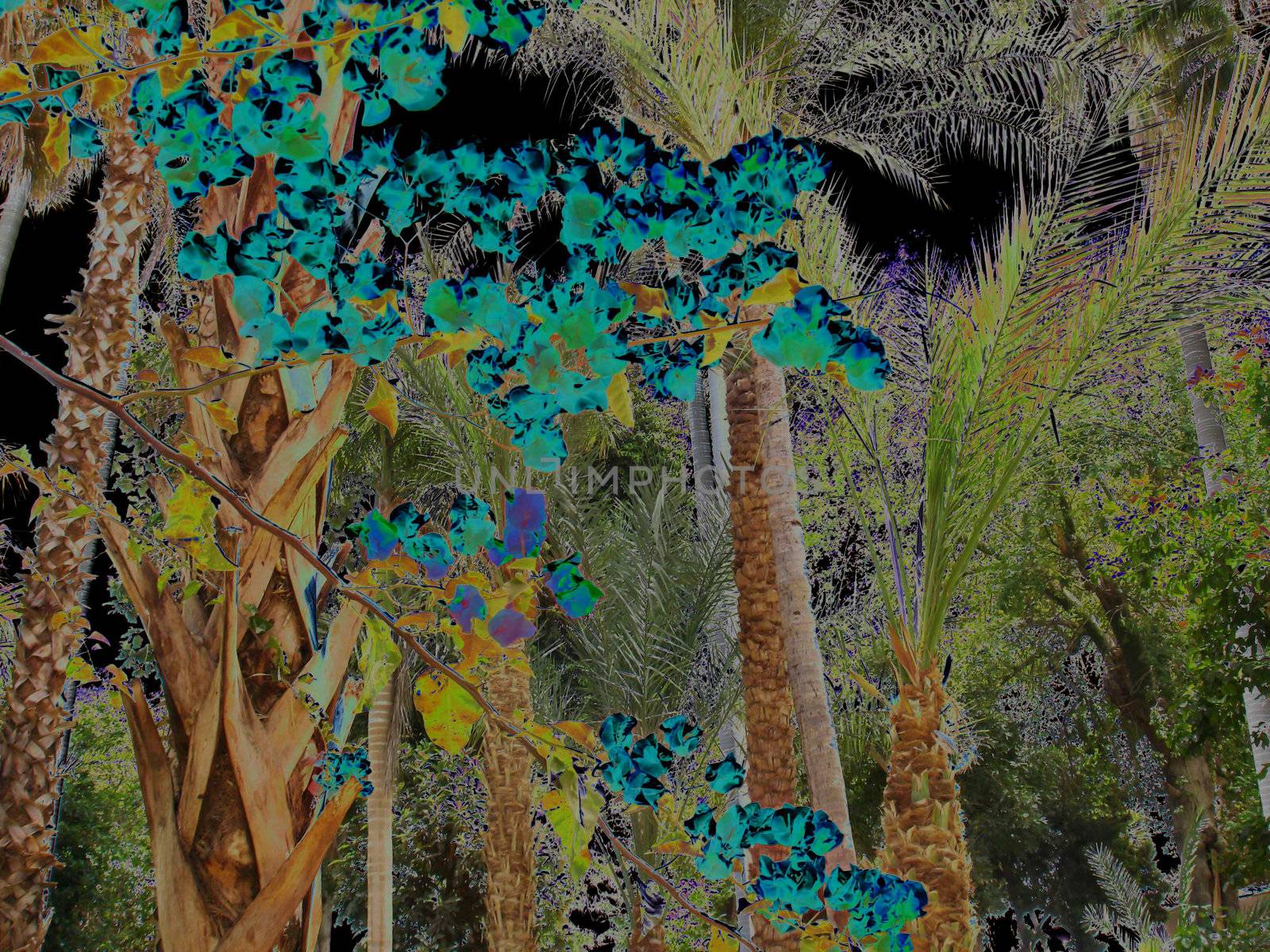Stylized color fantastic jungle.                            