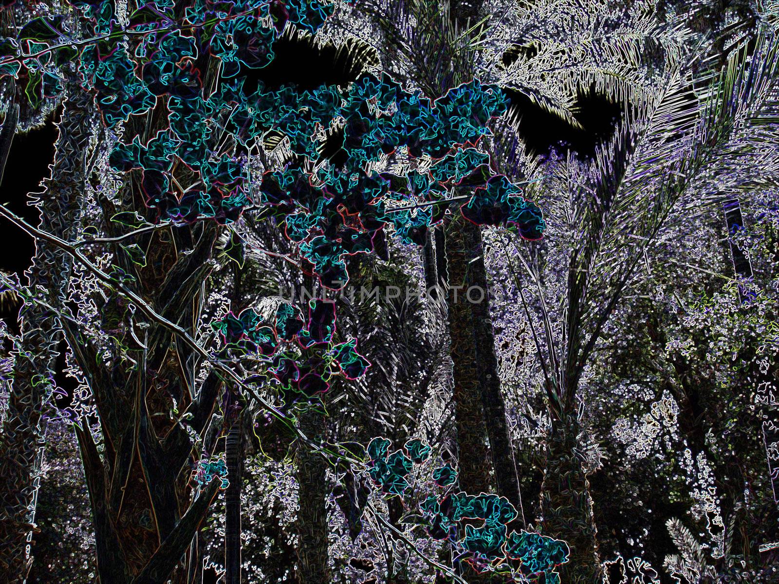 Stylized color fantastic forest as background.                             