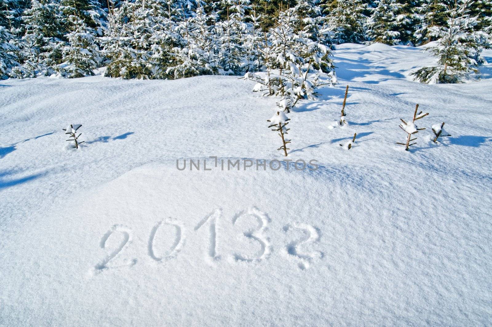 Year 2013 written in snow with question mark