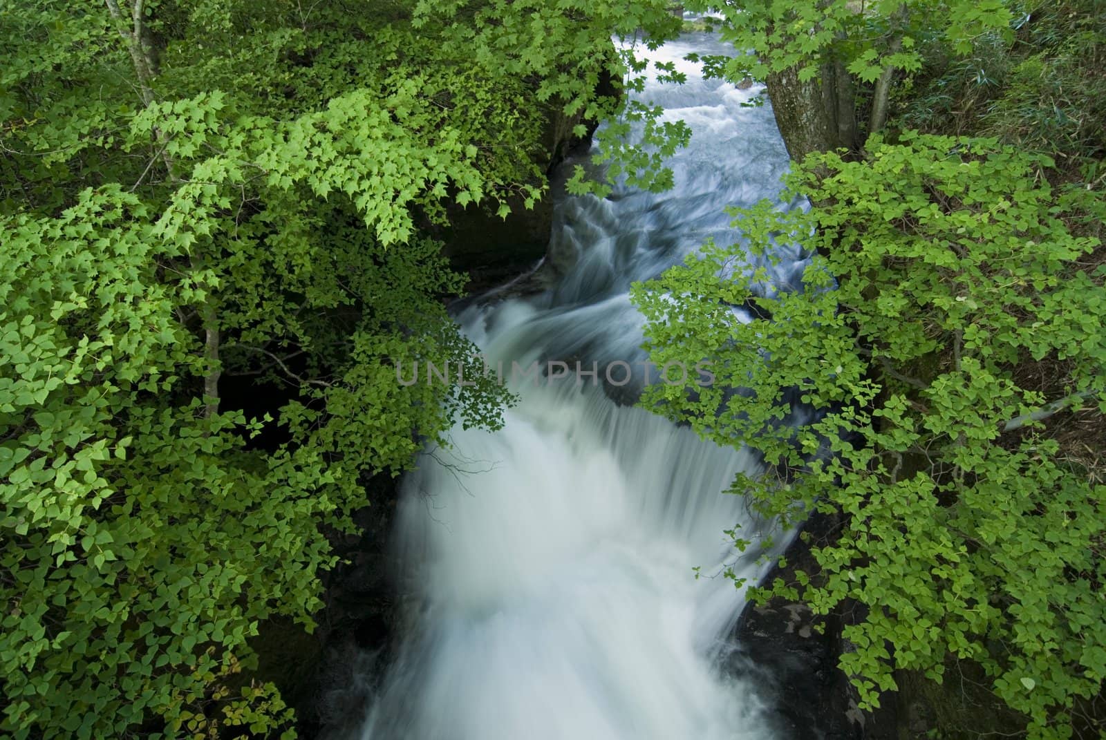white water stream under green summer branches, taken on natural cascade of Ryuzu Waterfall, Nikko, Japan