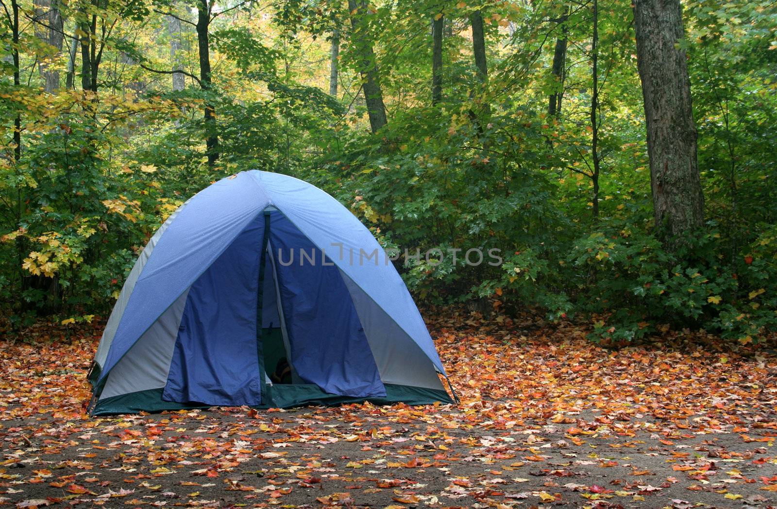 Autumn Camping
 by ca2hill