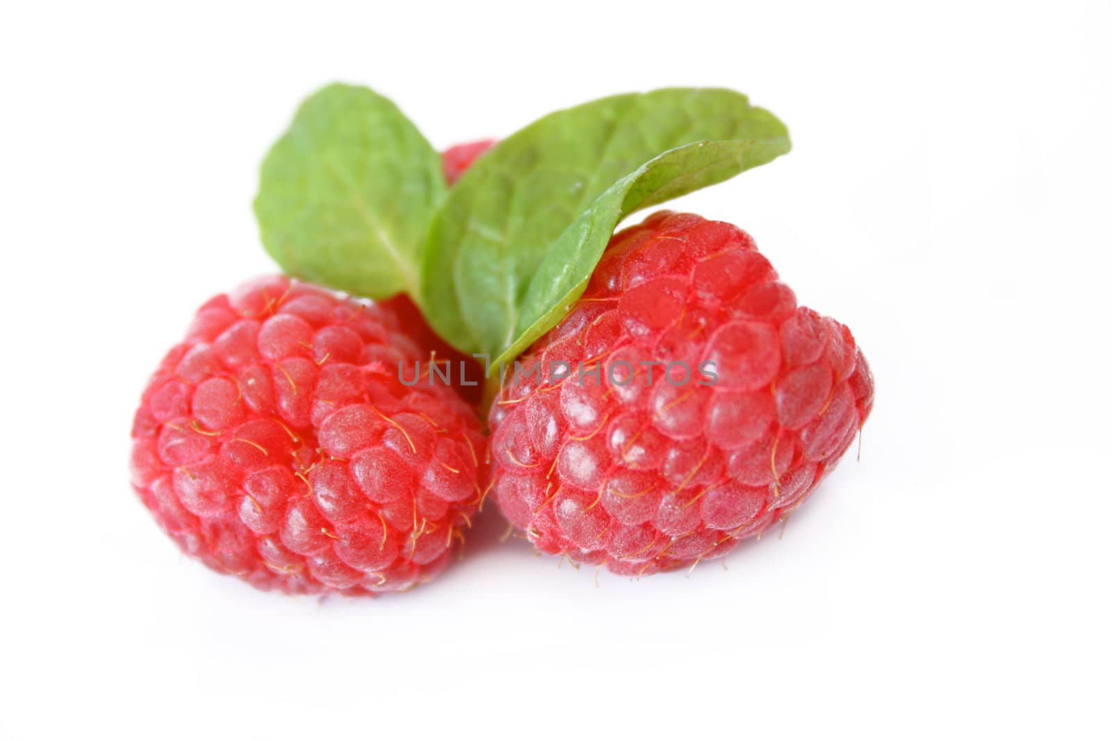 Raspberries and mint leaves shot on a white background. Used a shallow depth of field.