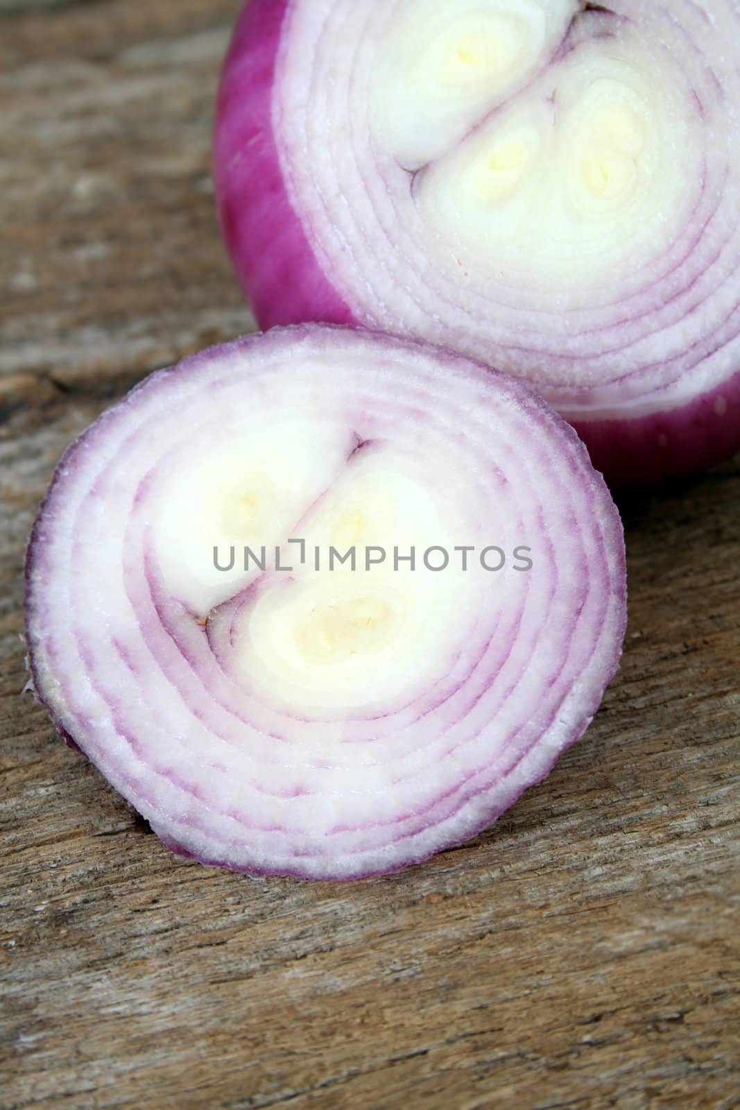 Red Onion by thephotoguy