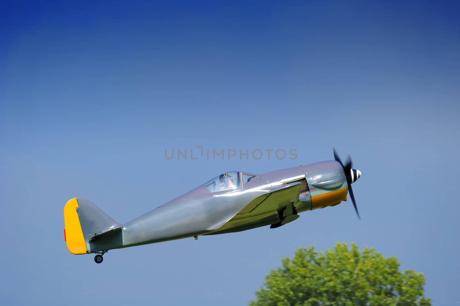 A light aircraft taking off into a clear blue sky, passing above a tree in the background. Motion blur on the propeller. Space for copy in the sky.
