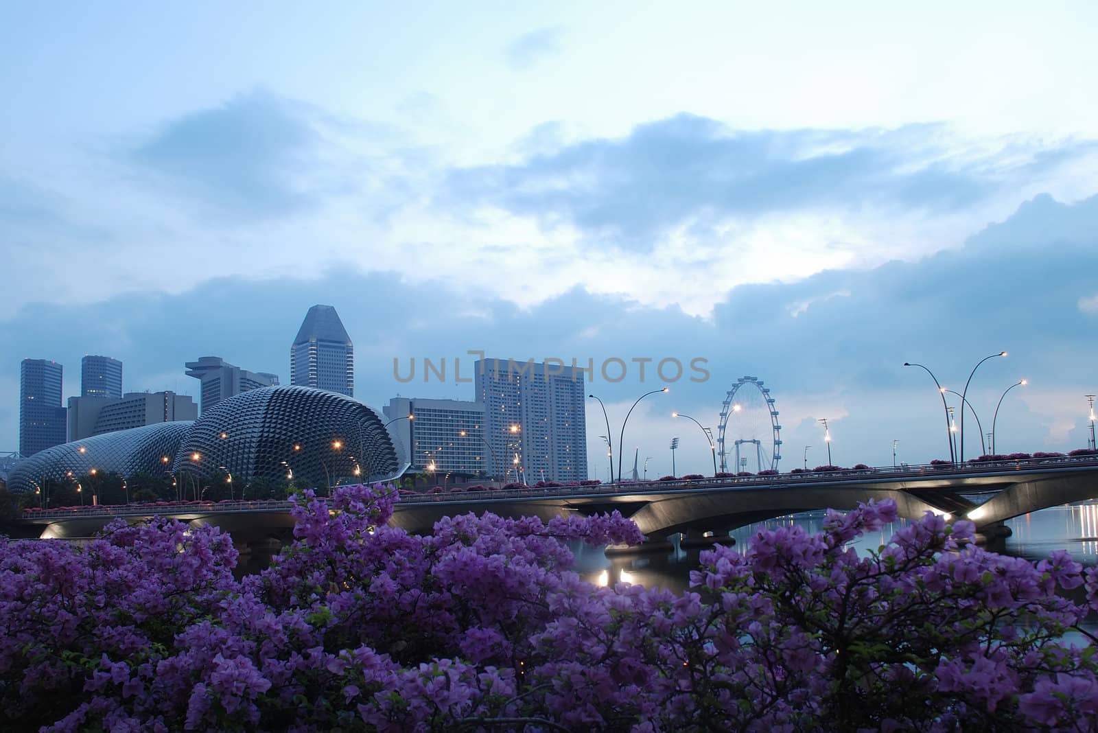 View of  singapore city in the morning with Bougainvillea