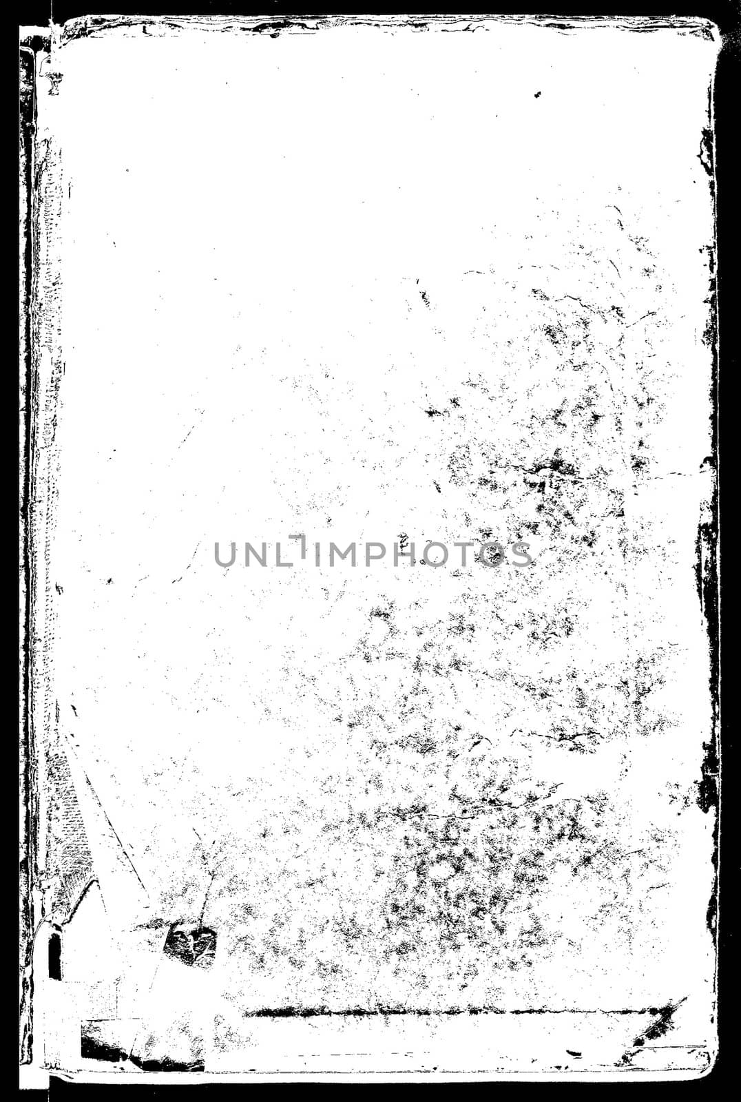 decorative frame on white background