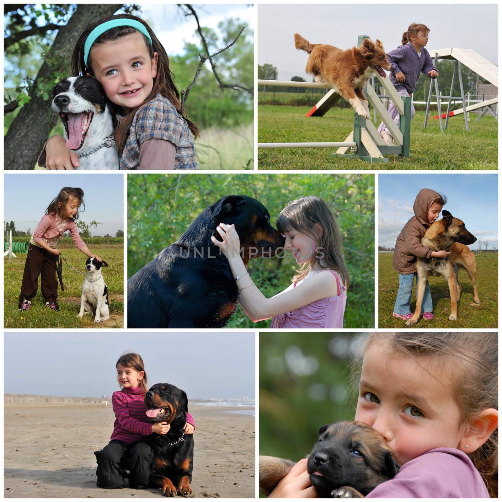 little girls and her purebred dogs outdoors
