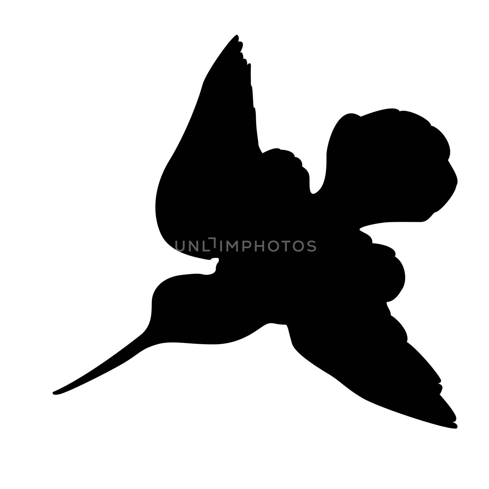 woodcock silhouette on white background, vector illustration