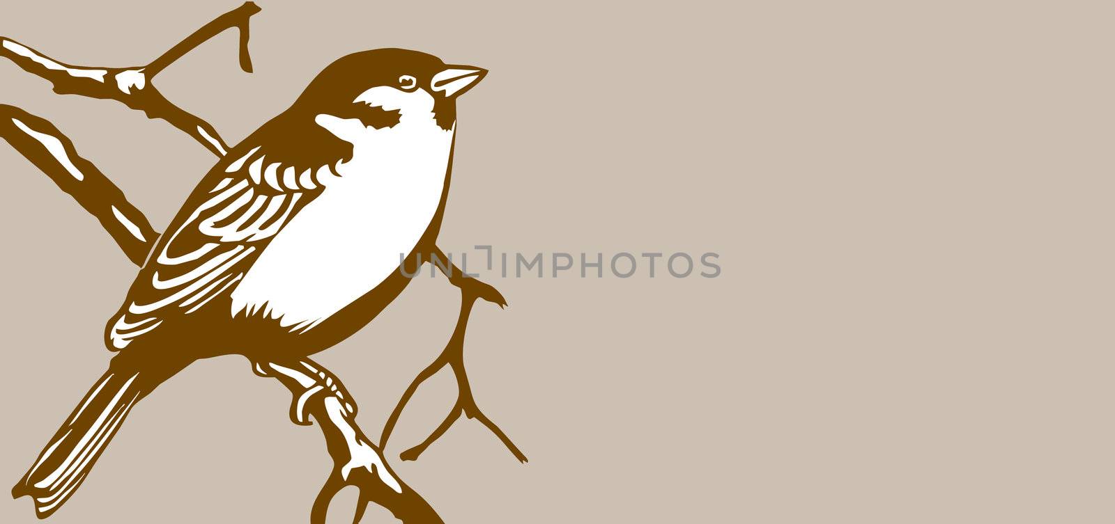 bird silhouette on brown background, vector illustration