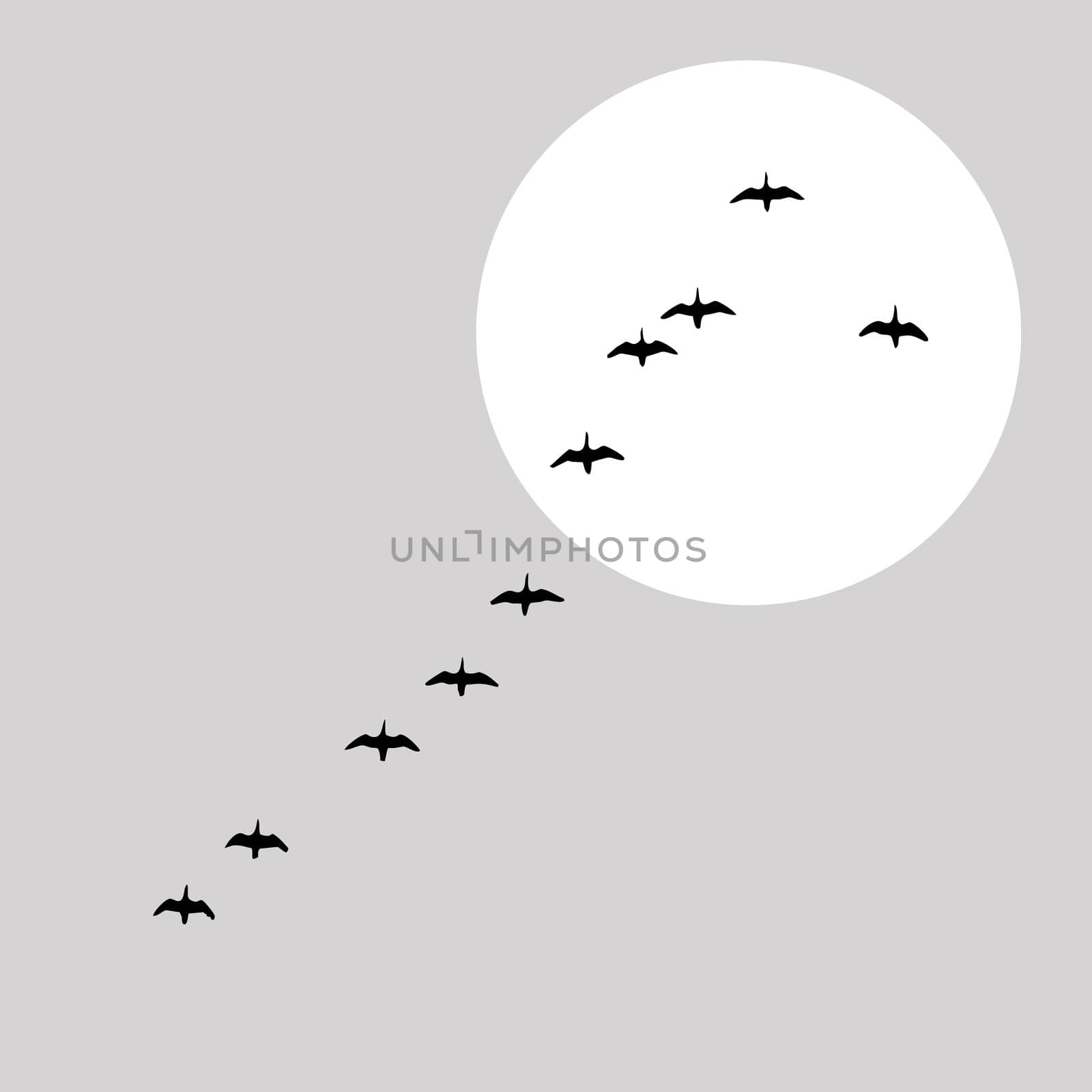 flying ducks silhouette on solar background, vector illustration by basel101658