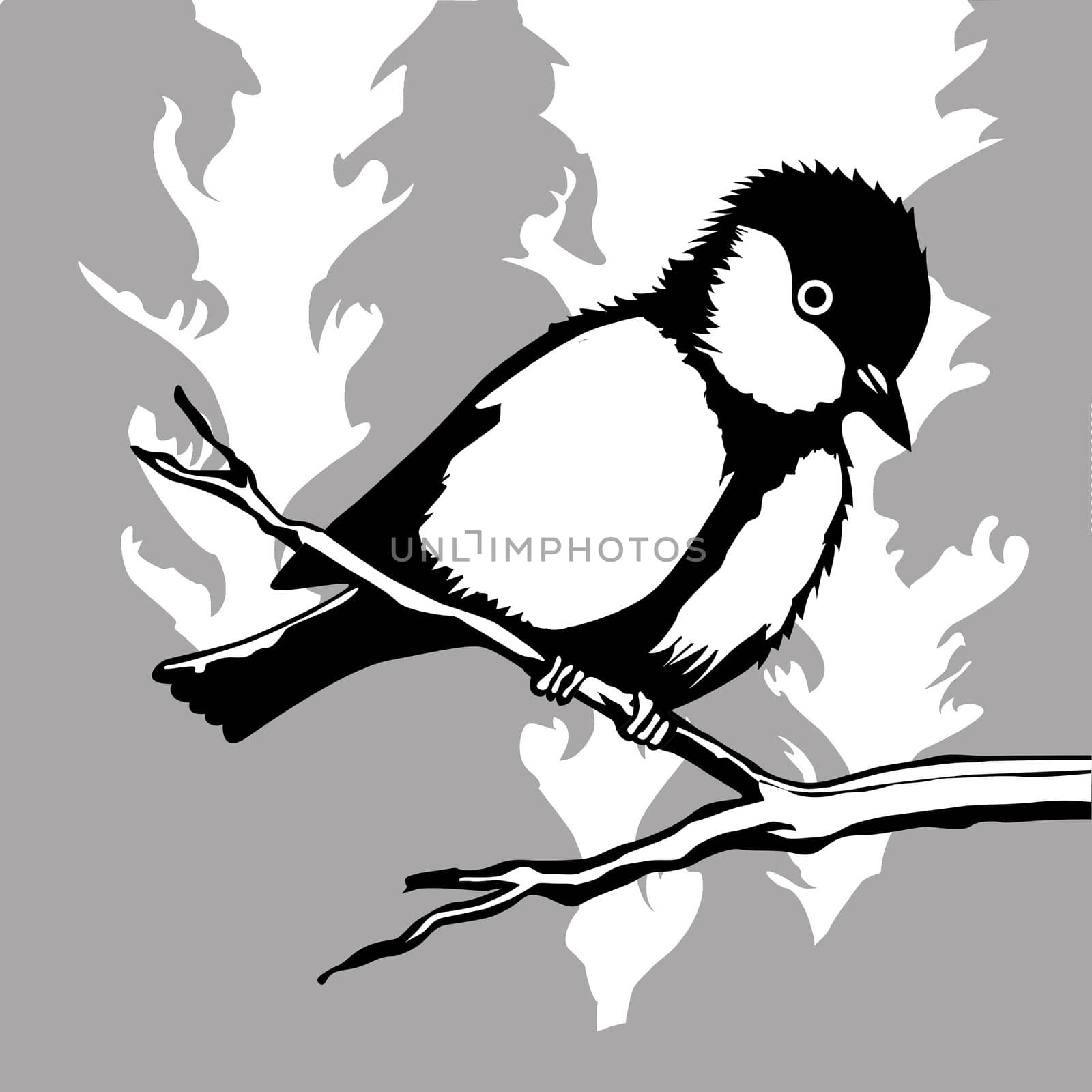 bird silhouette on wood background, vector illustration by basel101658
