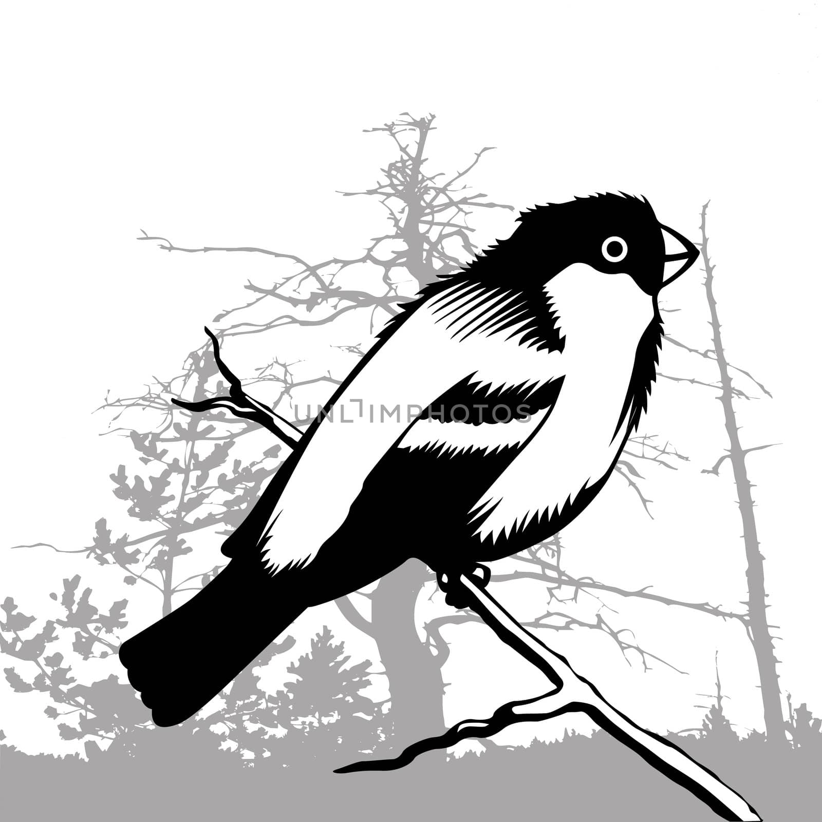 bird silhouette on wood background, vector illustration by basel101658
