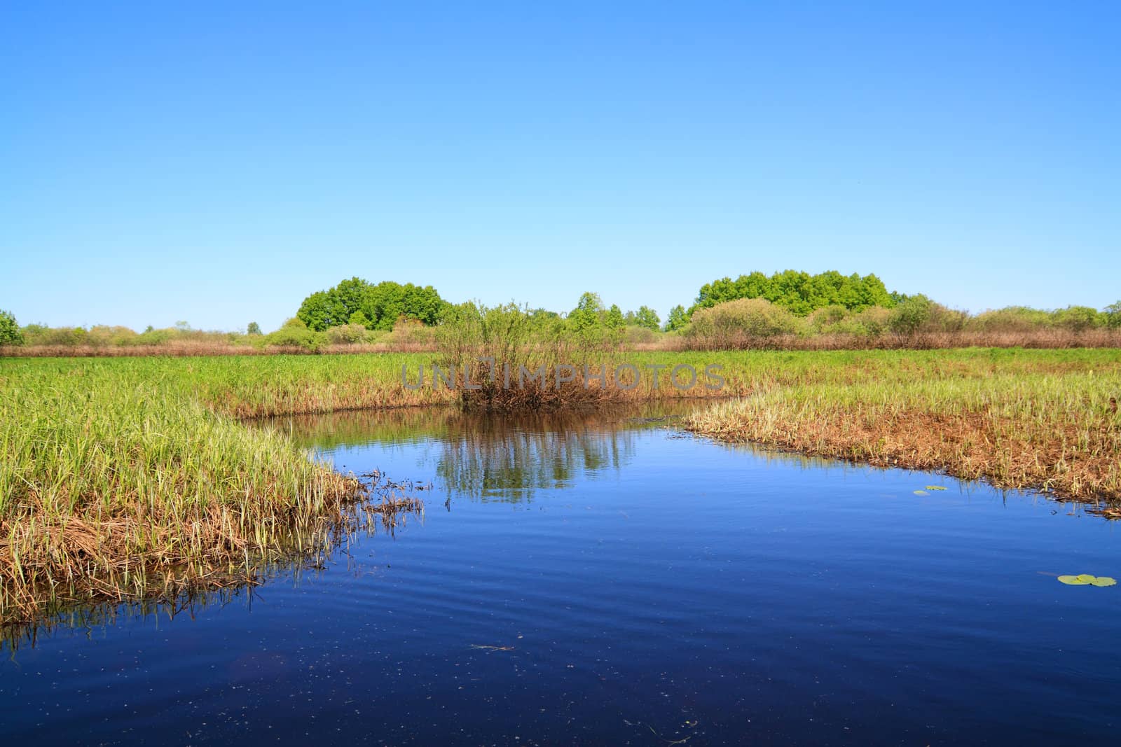 small river on spring field