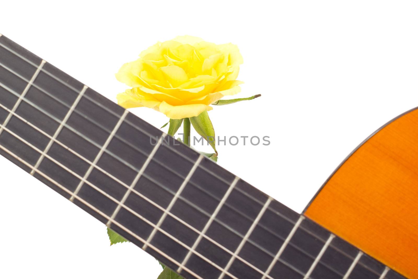 Beautiful yellow rose with guitar