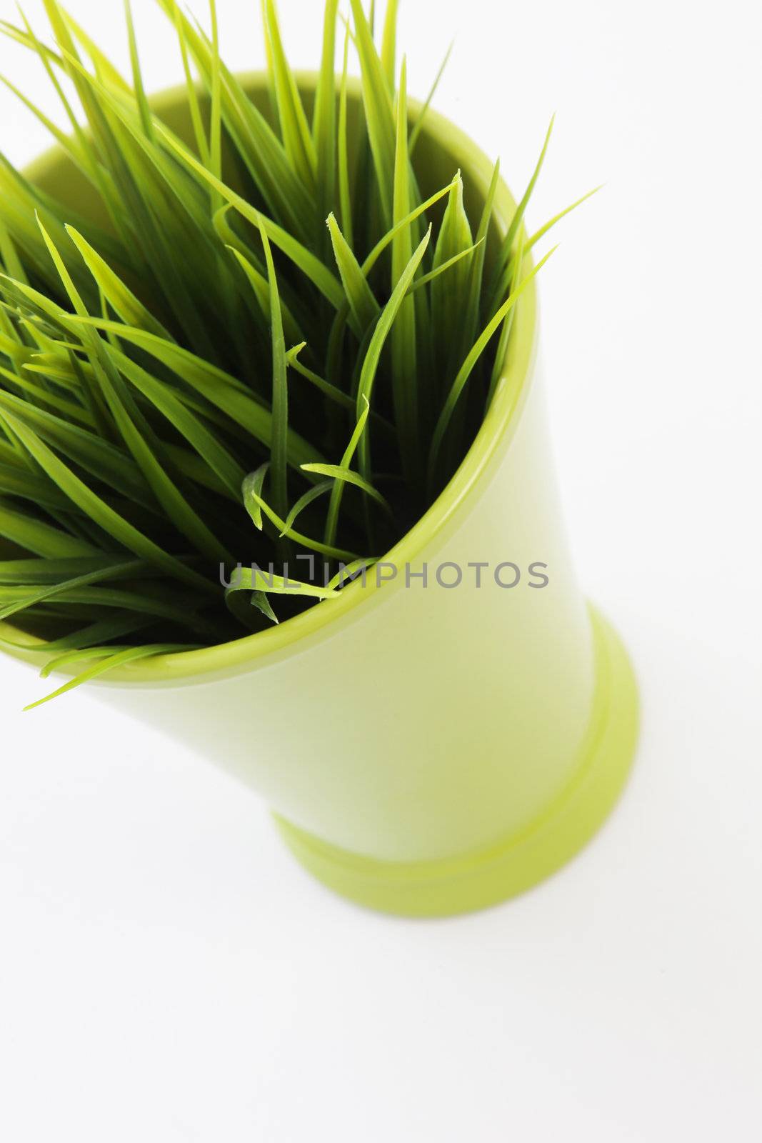 Fresh green spring grass growing in a decorative yellow-green flowerpot, high angle view isolated on white