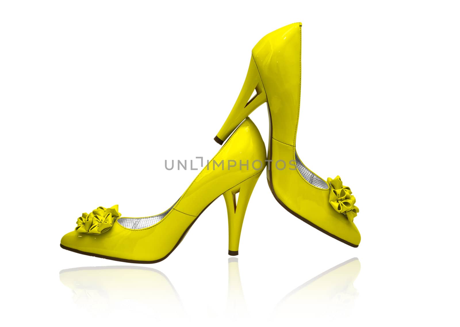 women shoes  on white background by Lexxizm