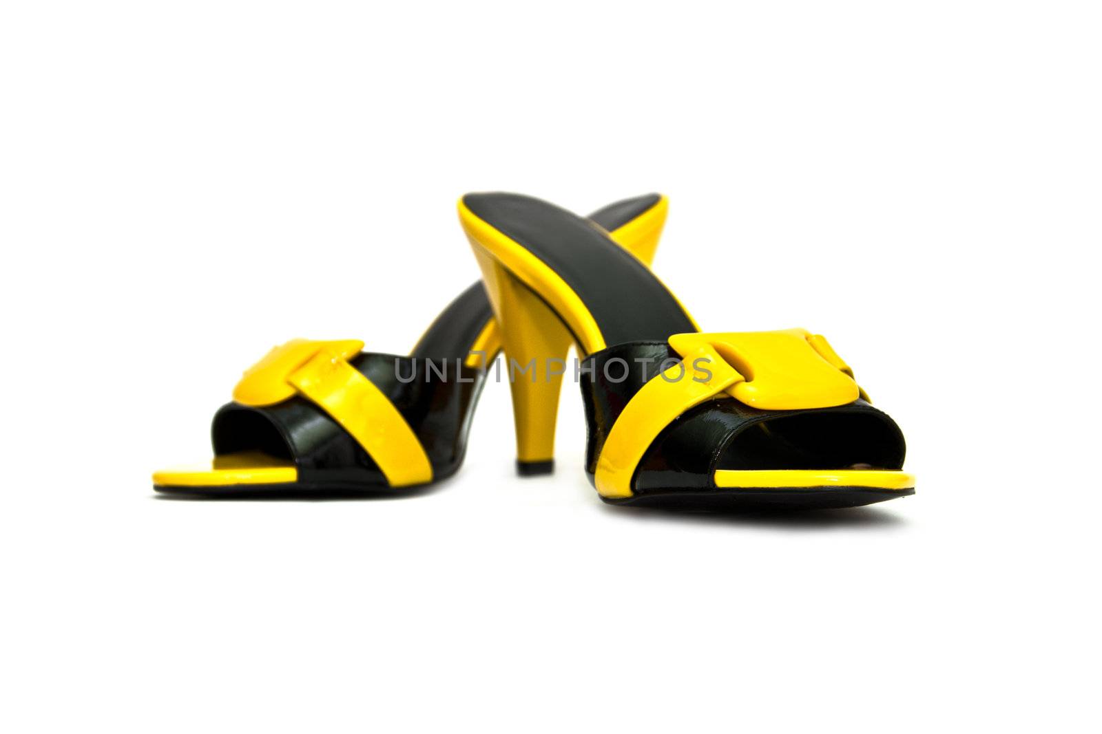 women shoes  on white background