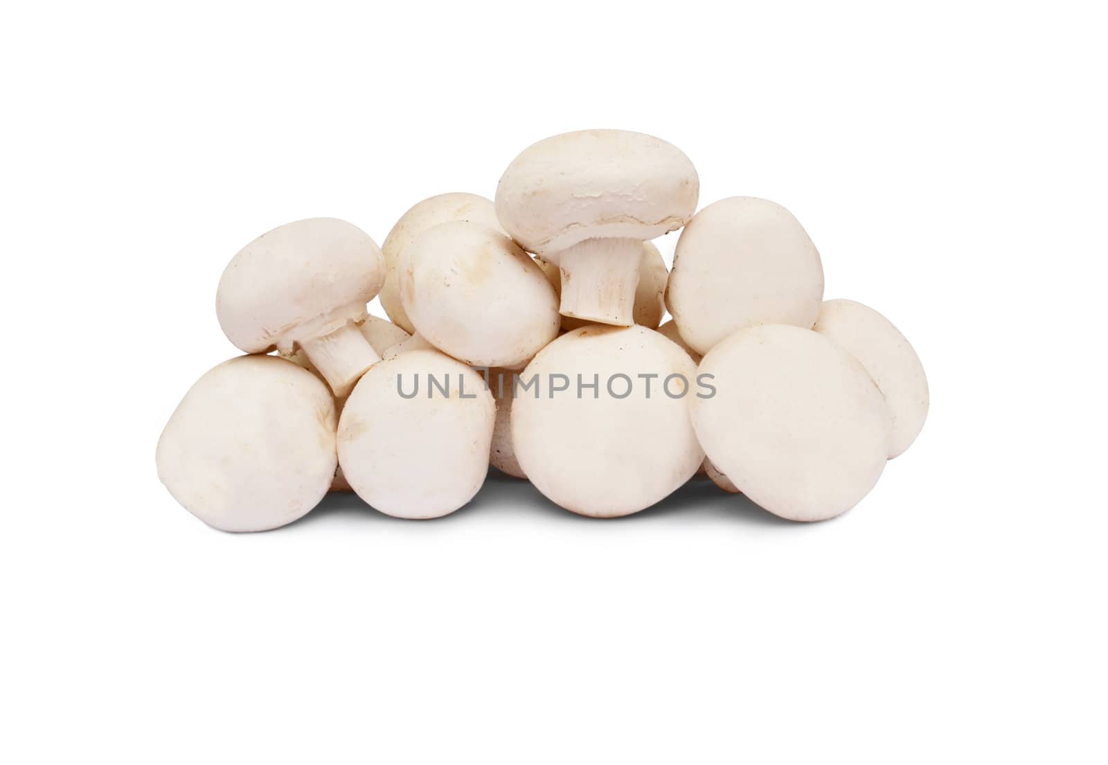 mushroom Isolated over white with clipping path 
