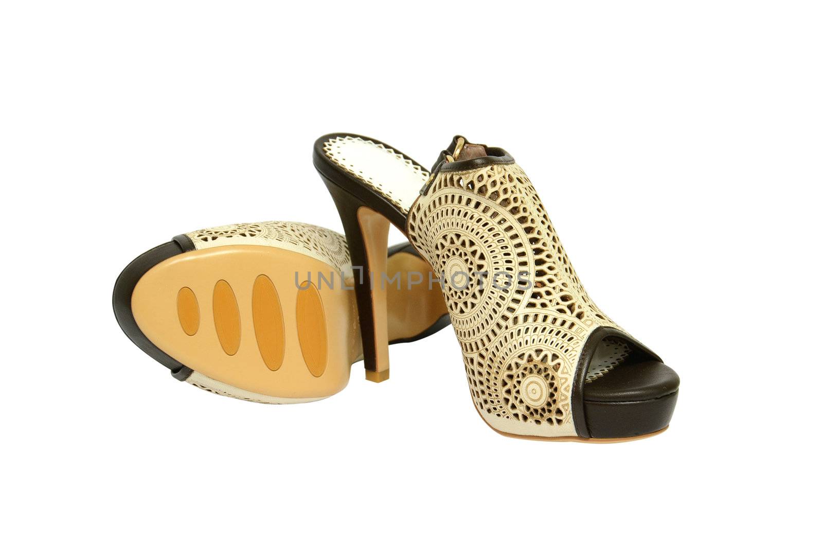 women shoes  on white background